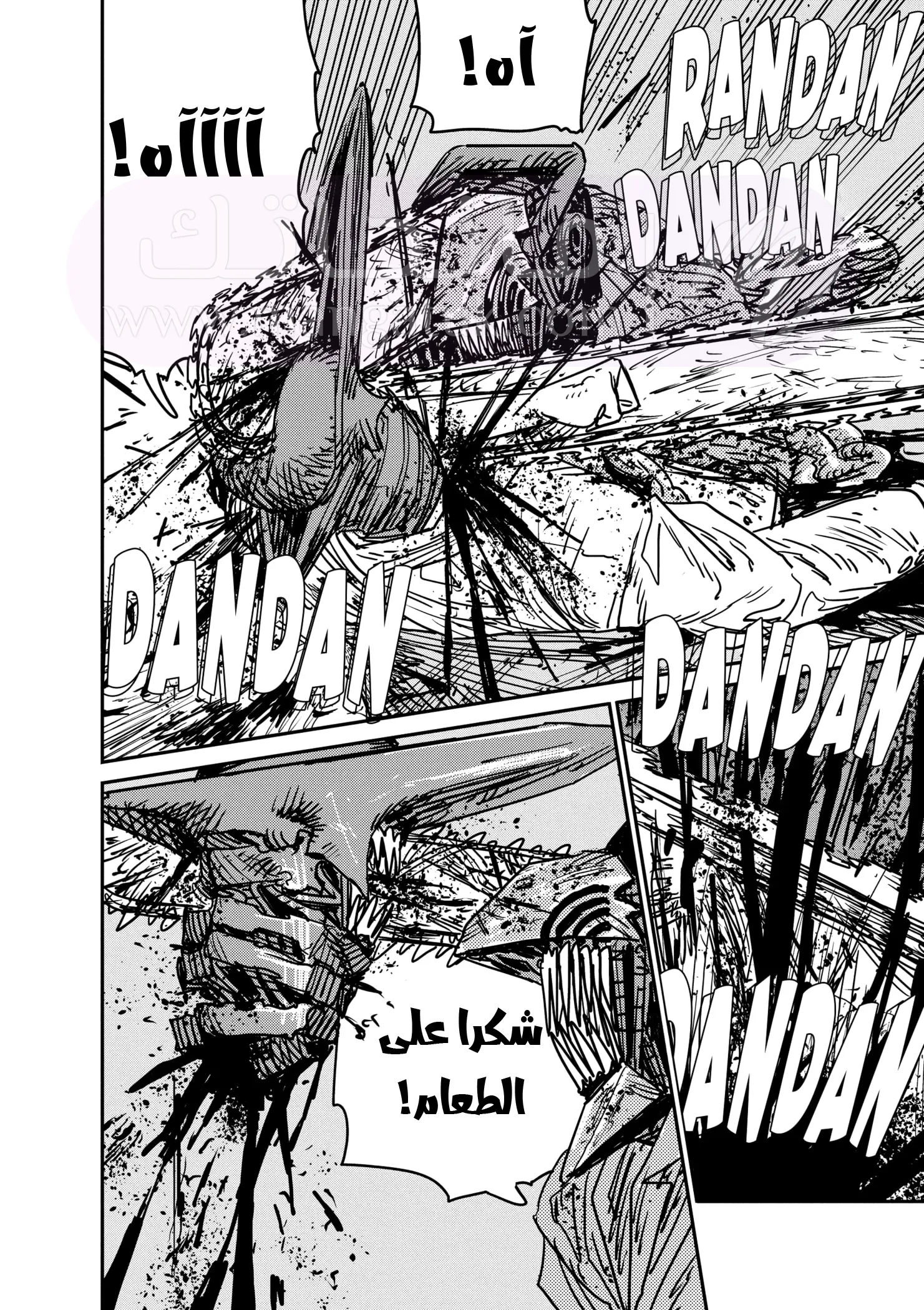 الصفحة 13