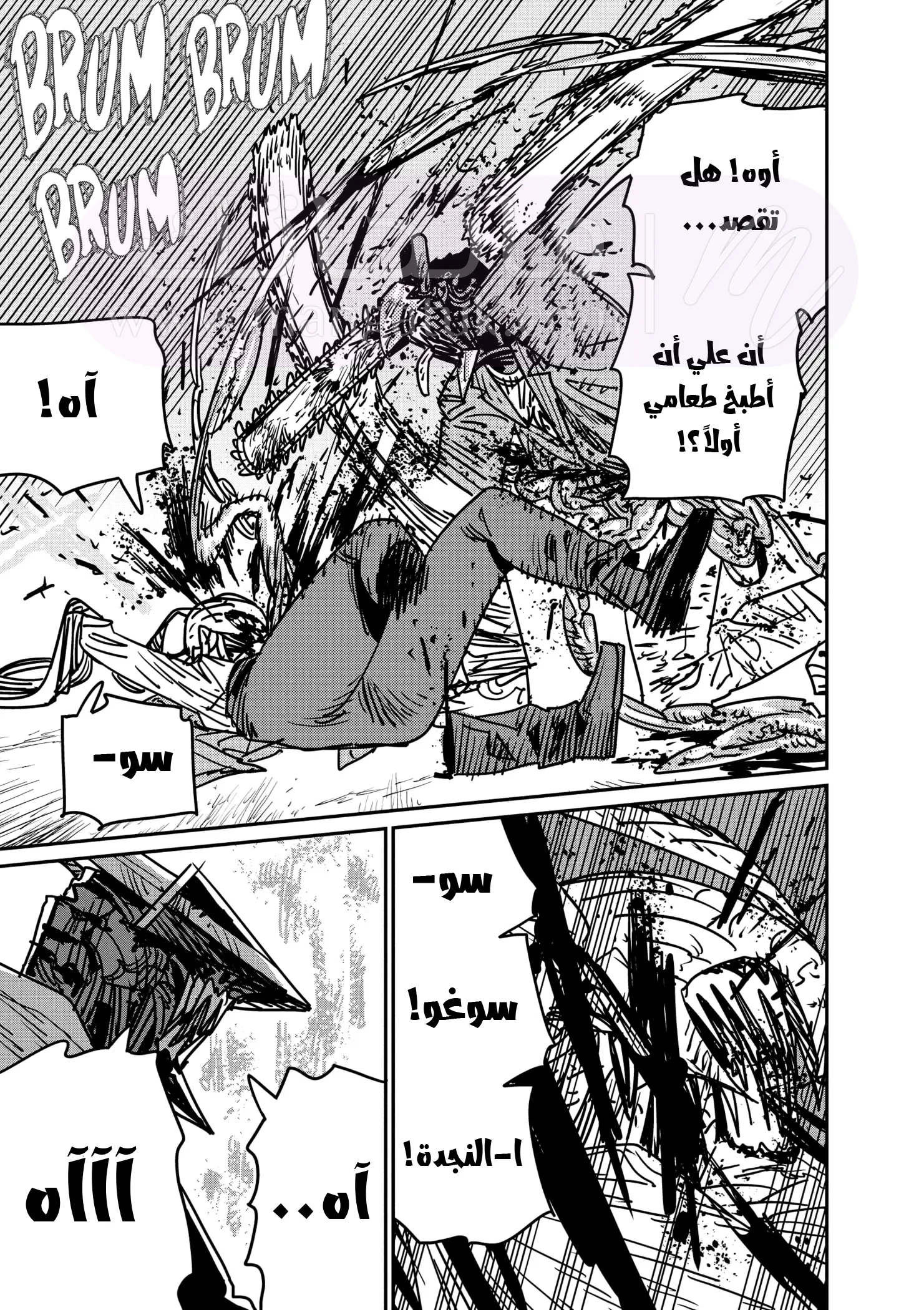 الصفحة 16