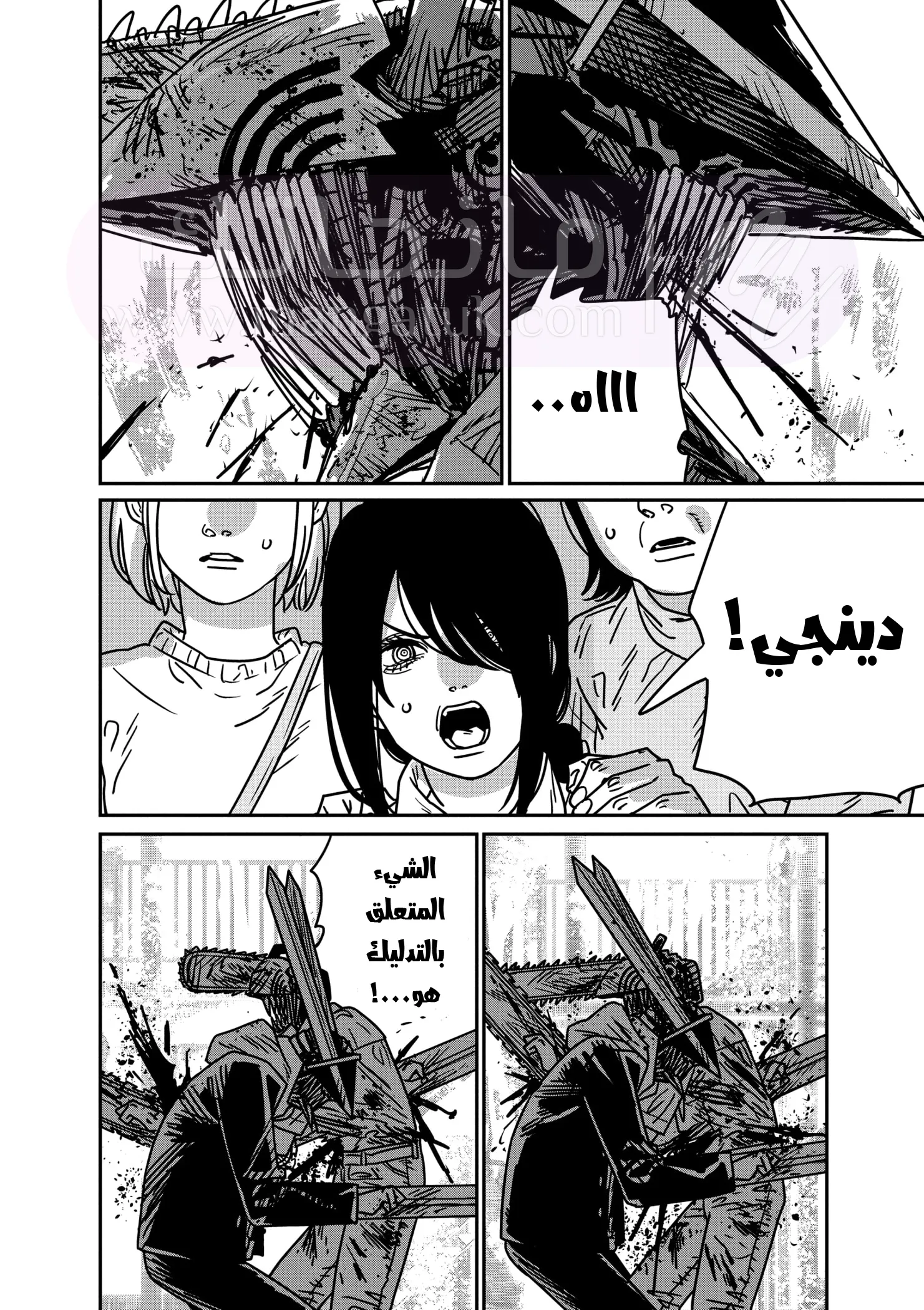 الصفحة 19