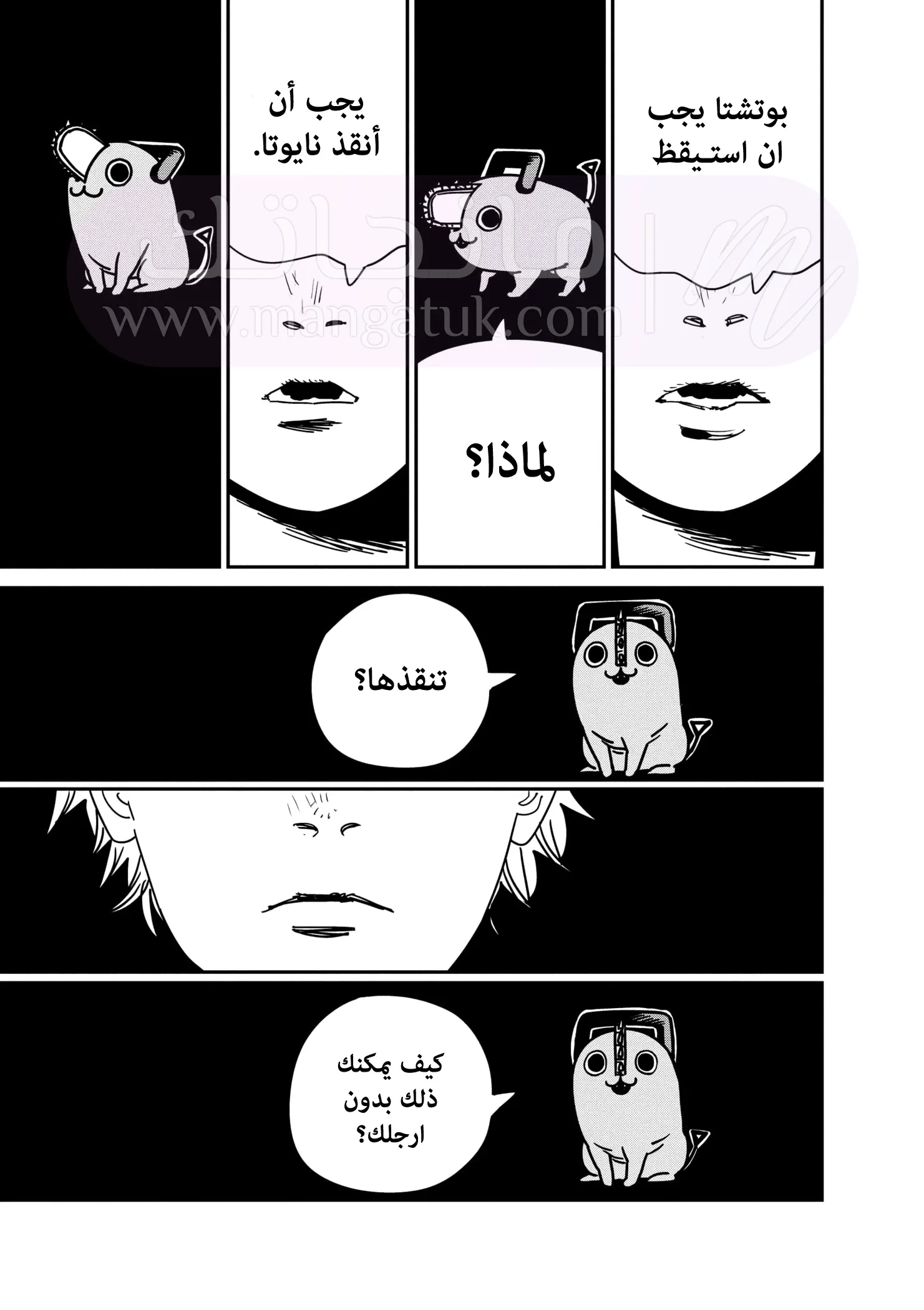 الصفحة 11