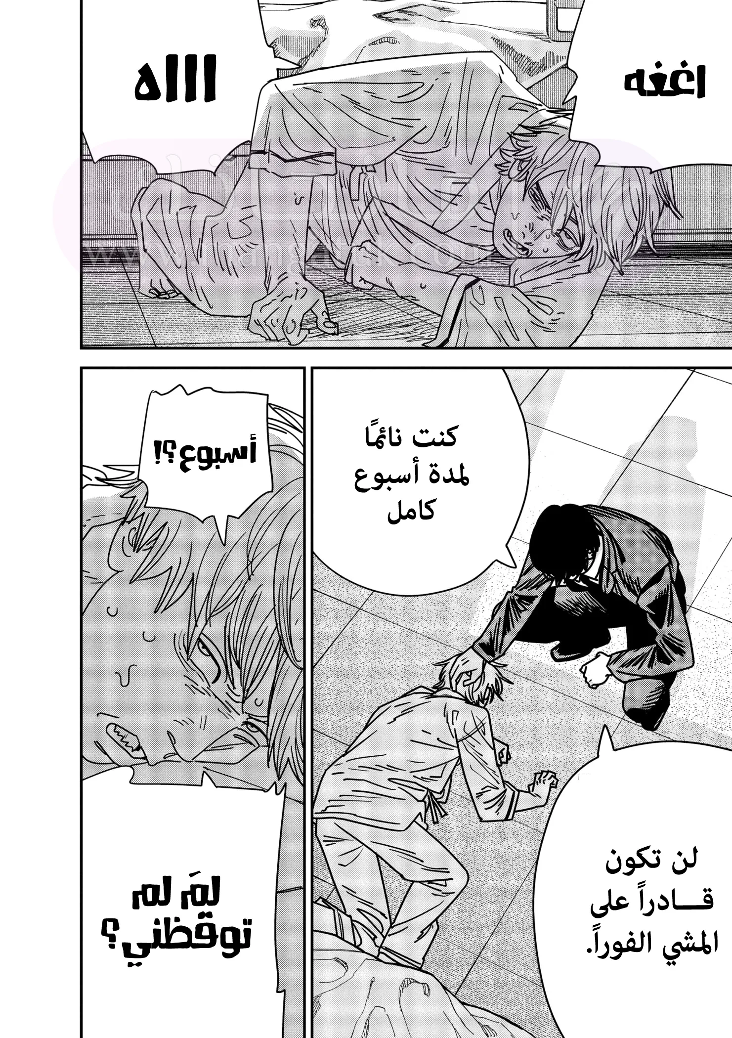 الصفحة 6