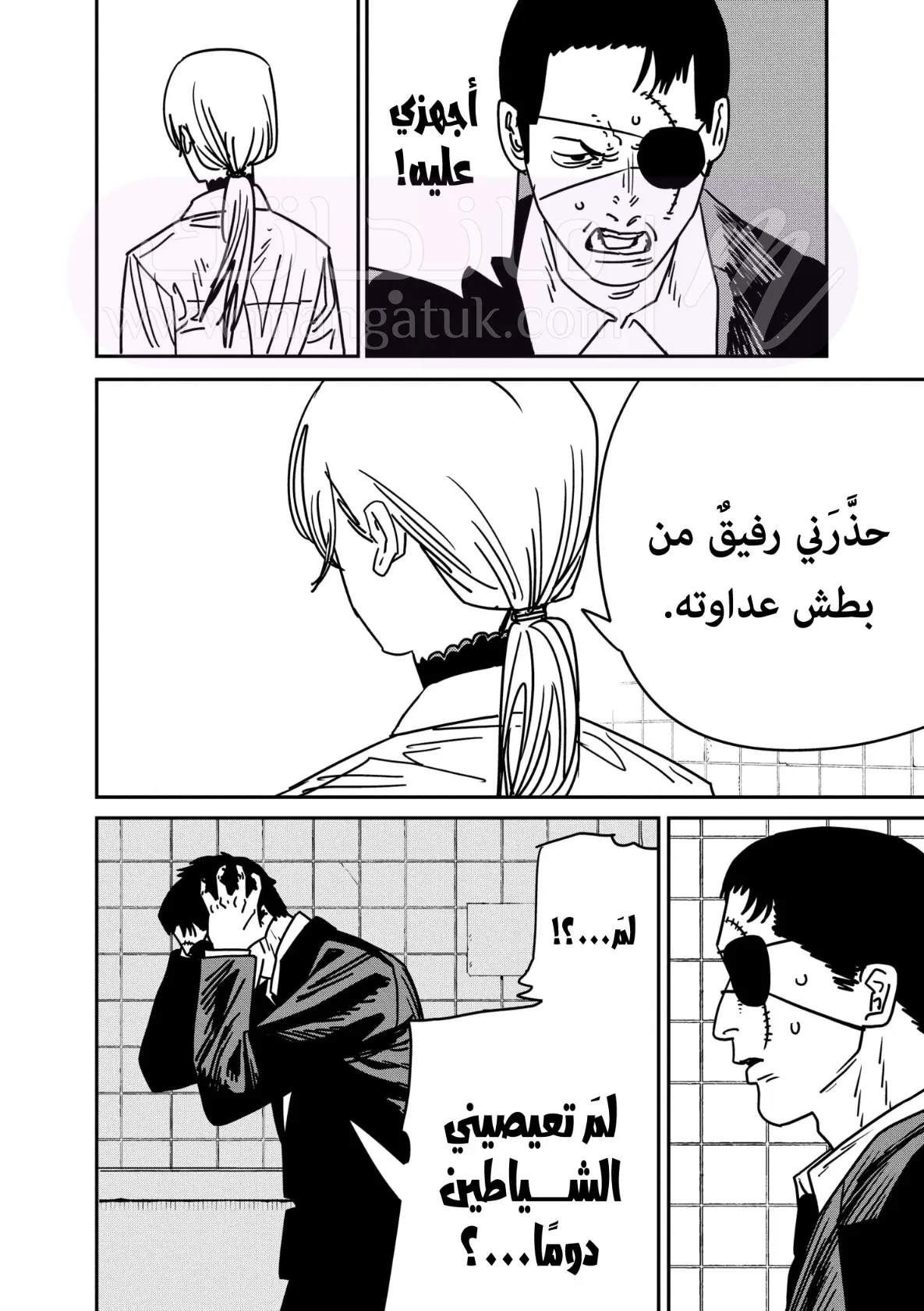 الصفحة 11