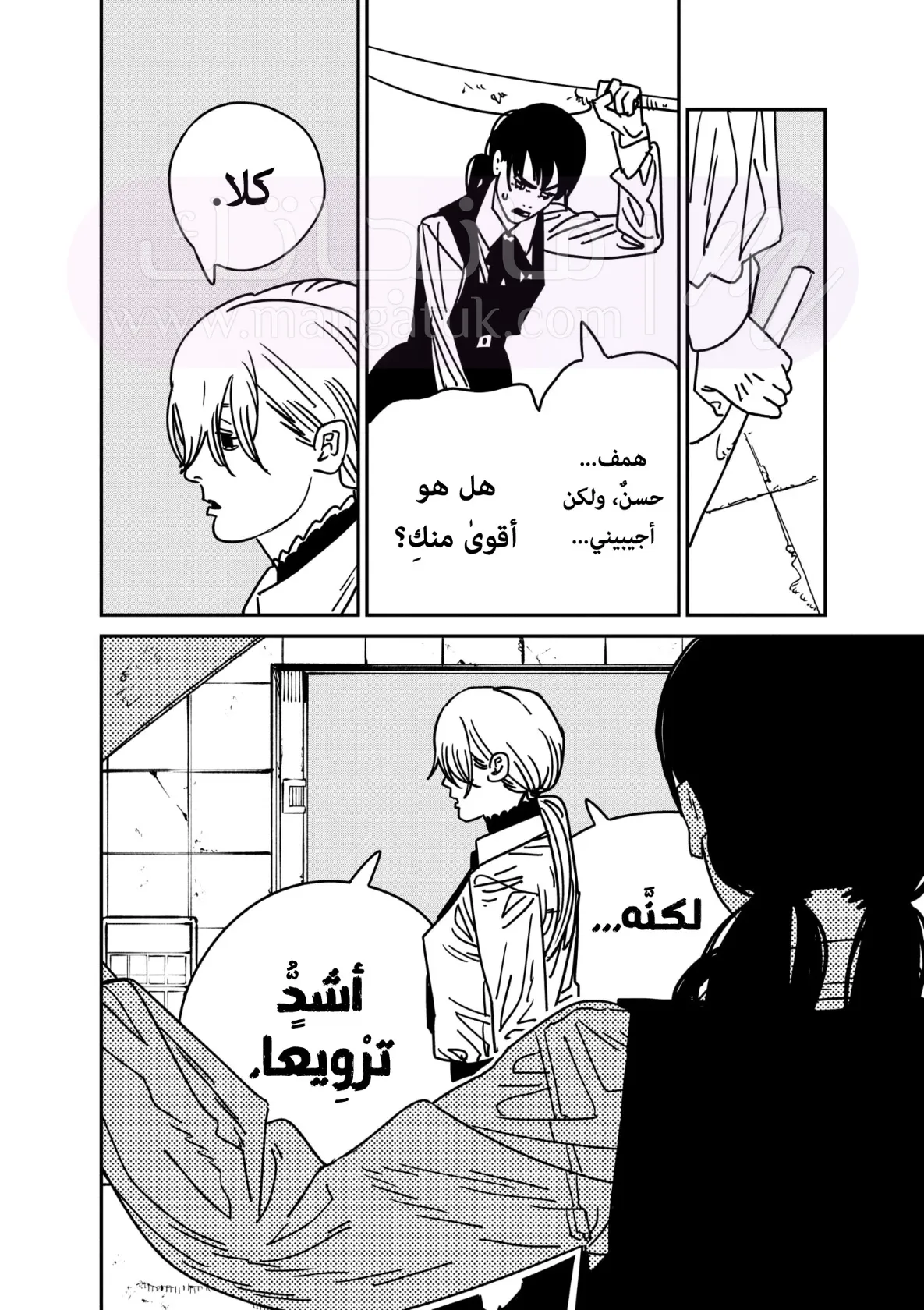 الصفحة 17