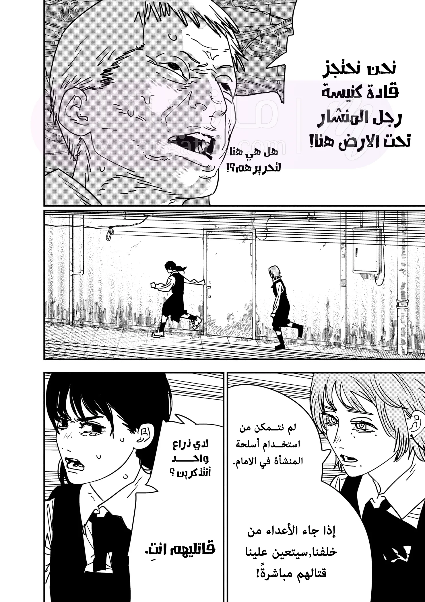 الصفحة 13