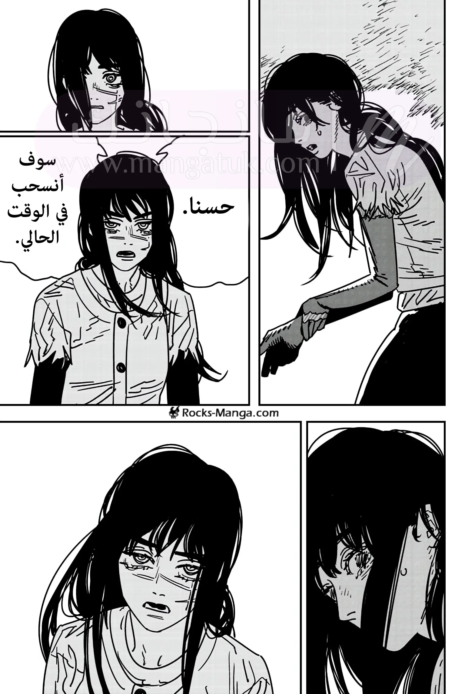 الصفحة 11