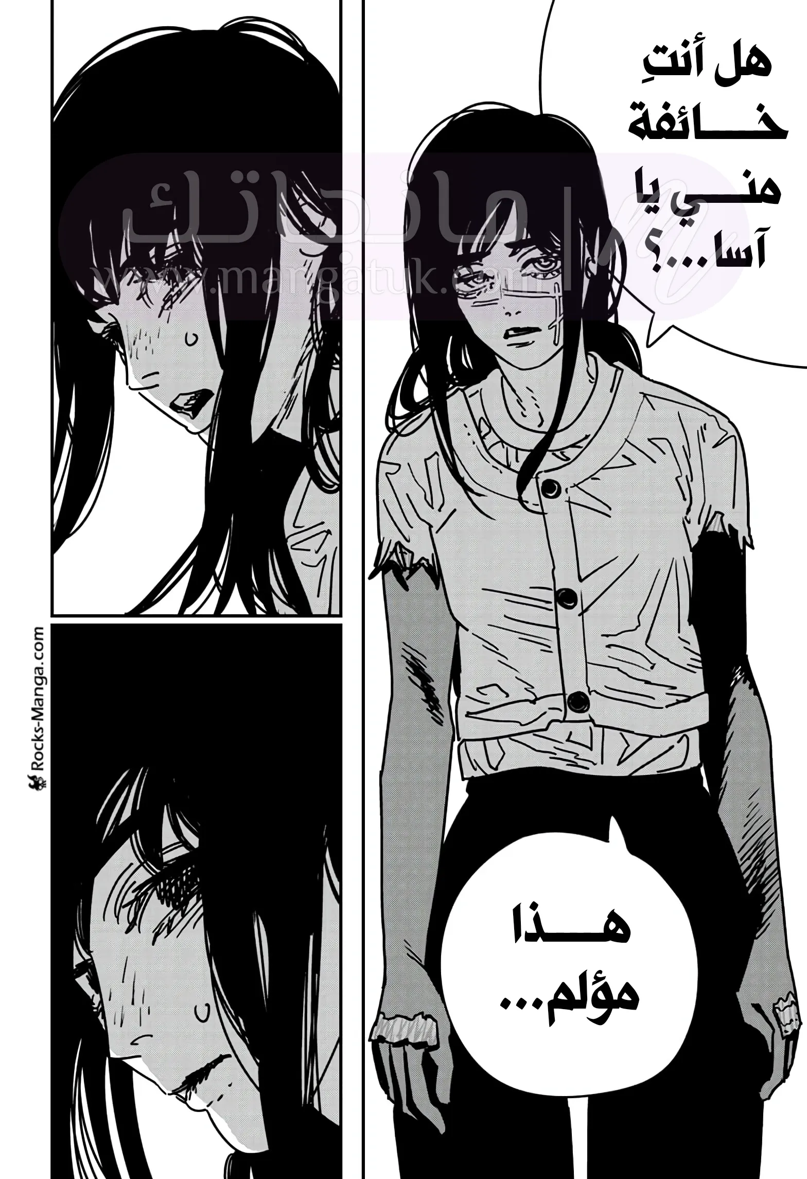 الصفحة 12