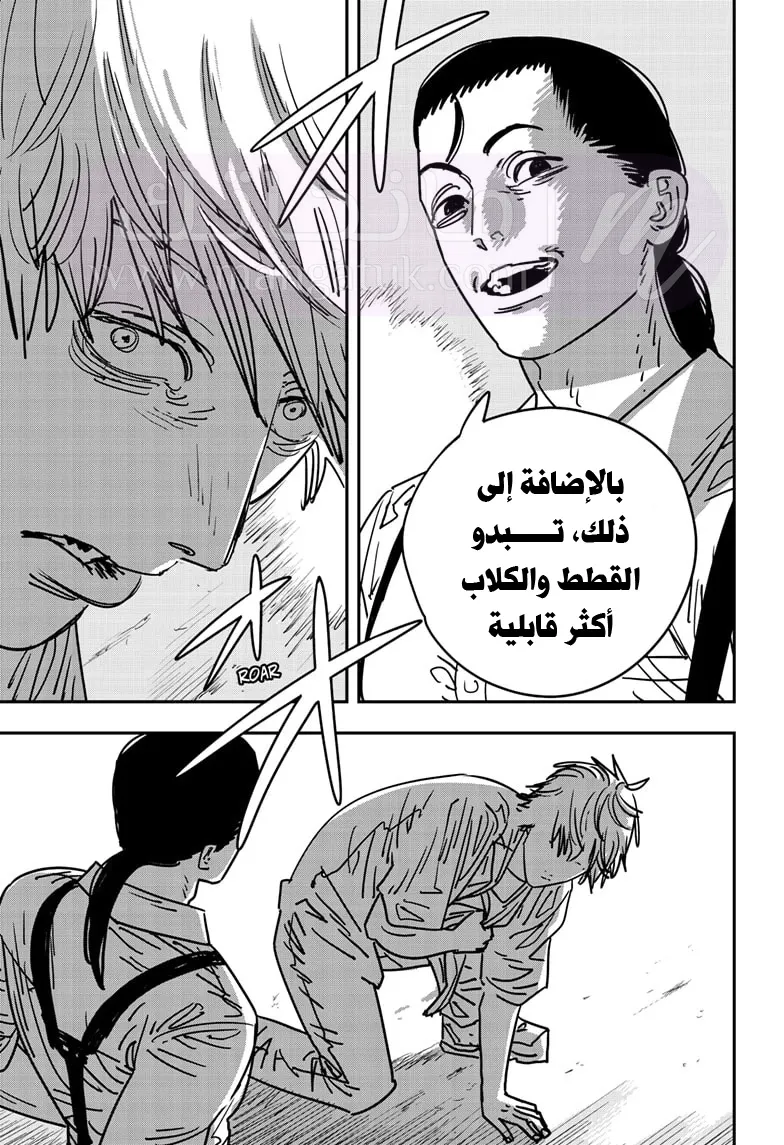 الصفحة 13
