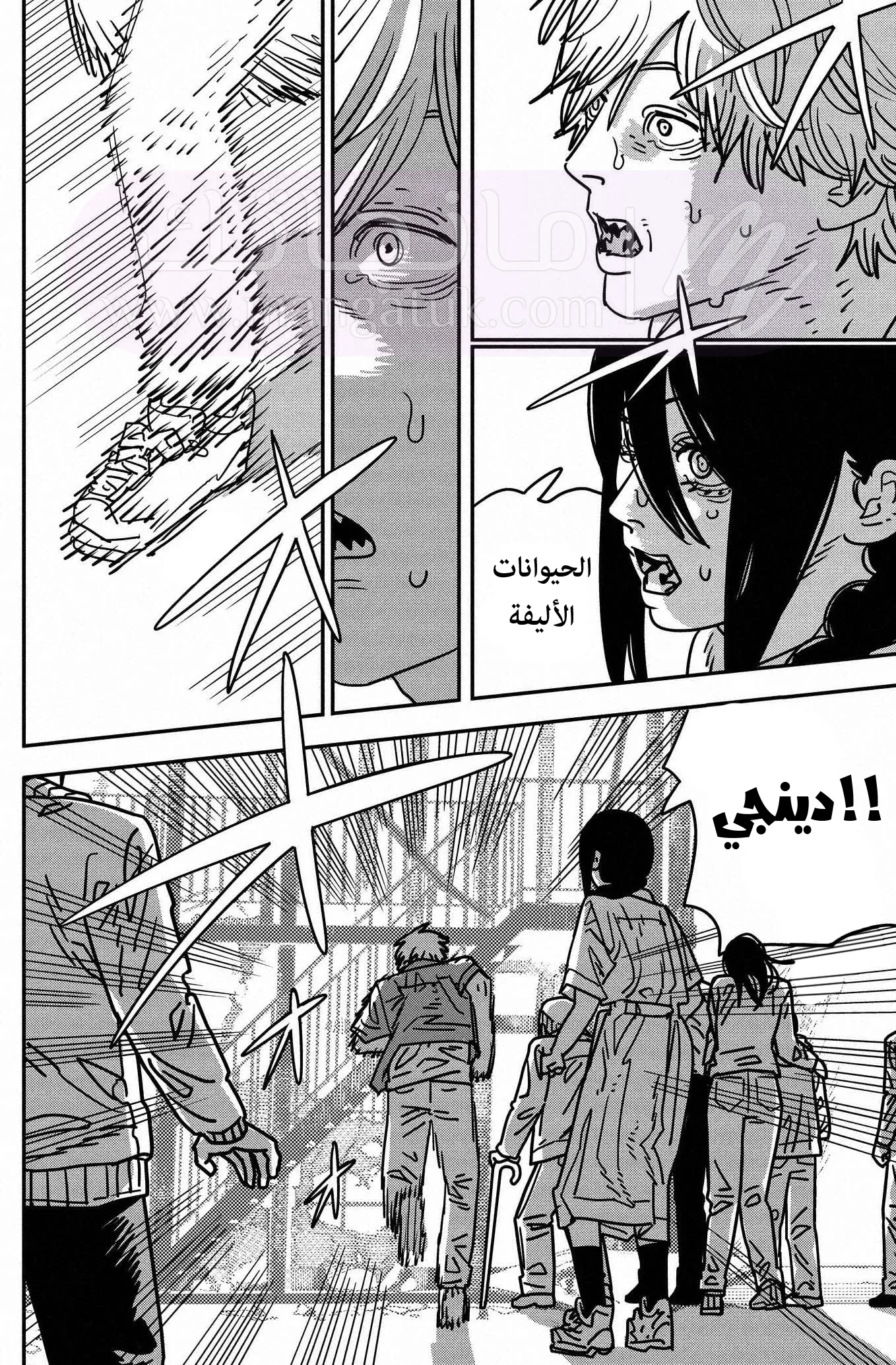 الصفحة 10