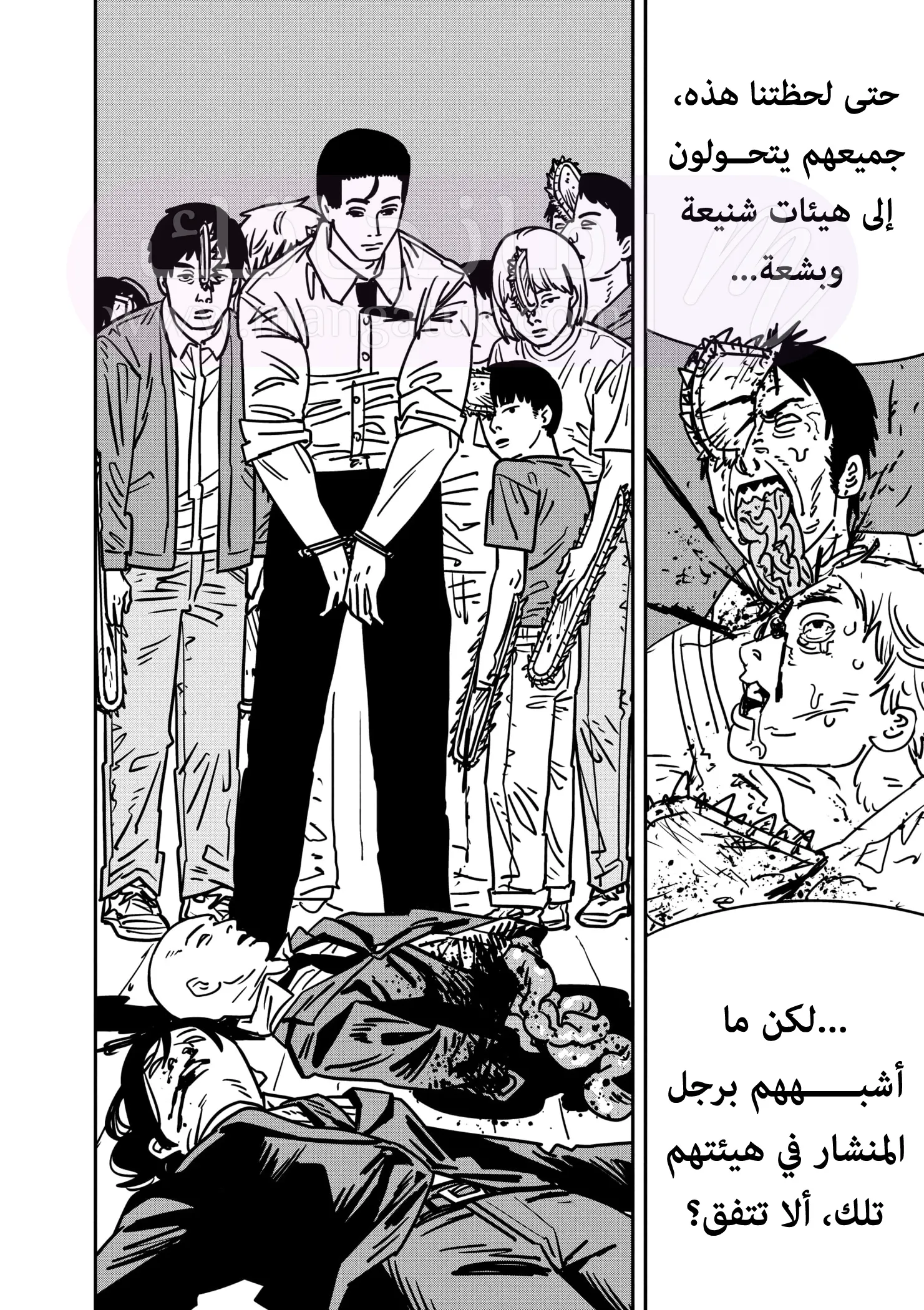 الصفحة 11