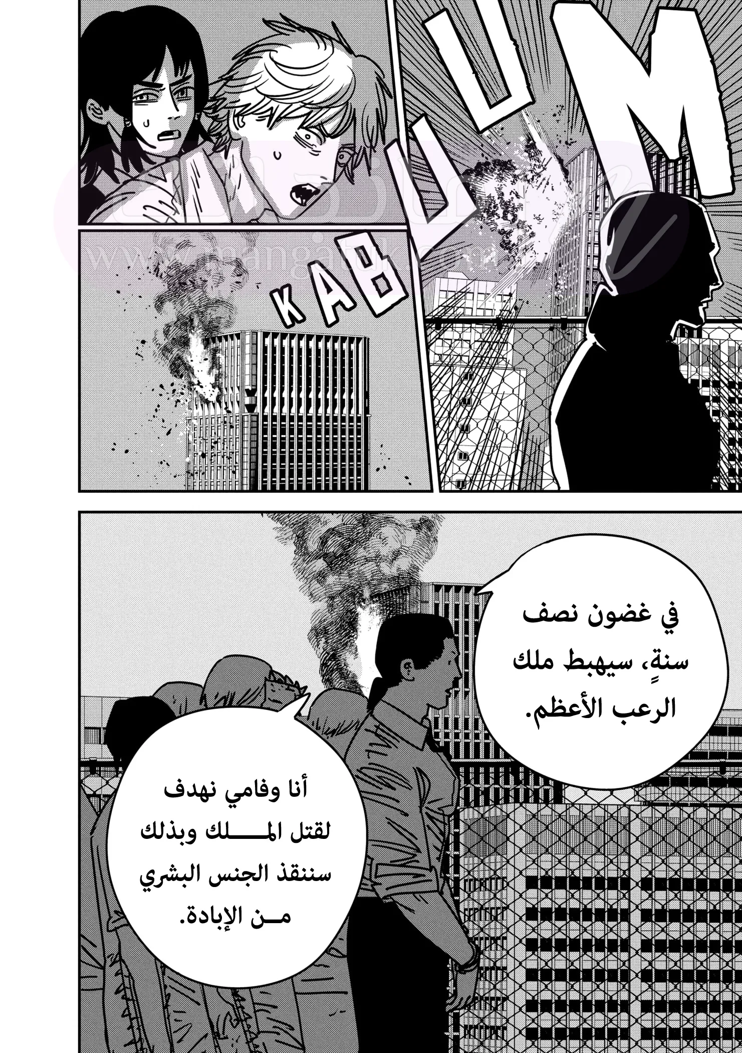 الصفحة 13
