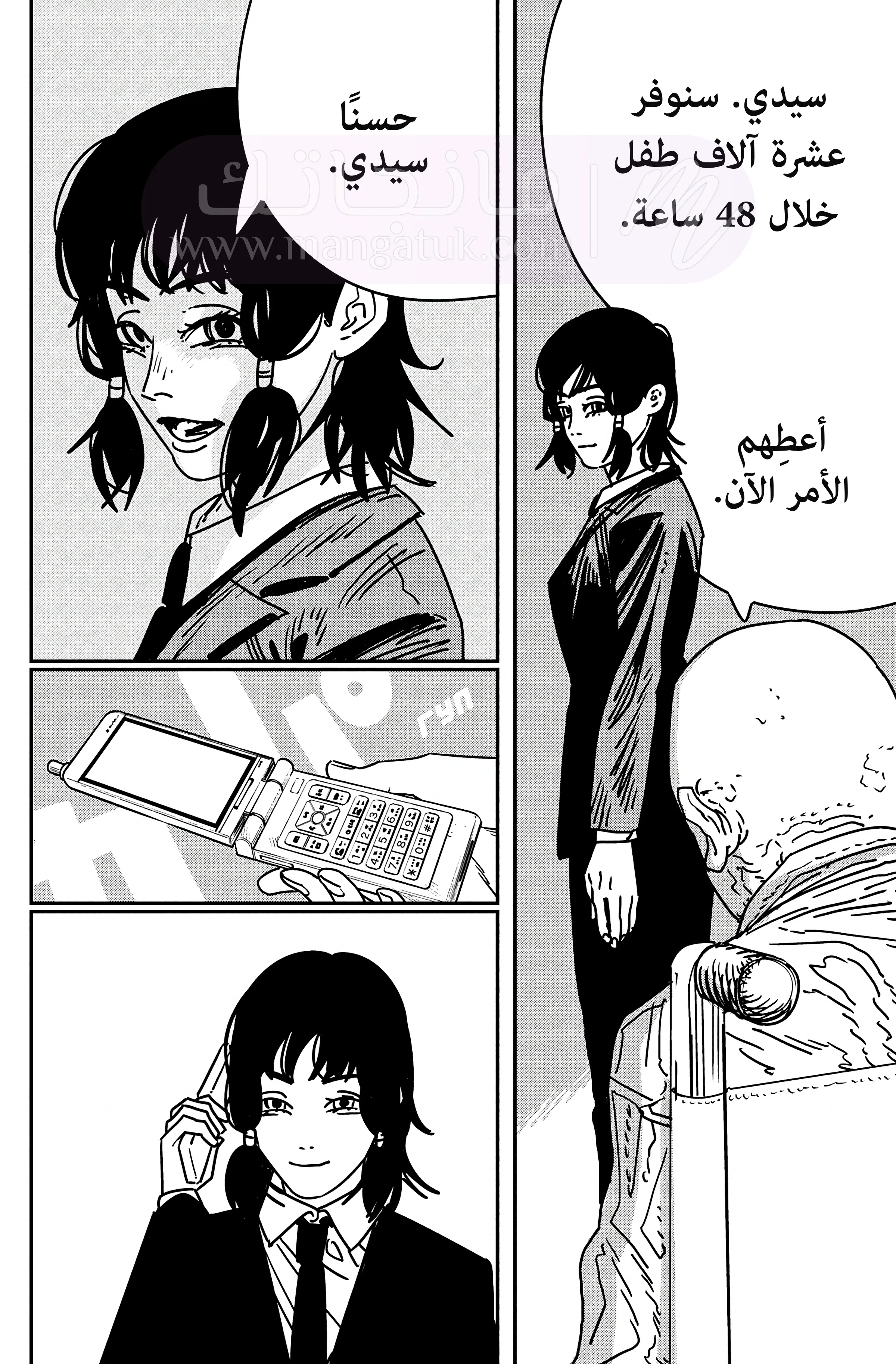 الصفحة 13