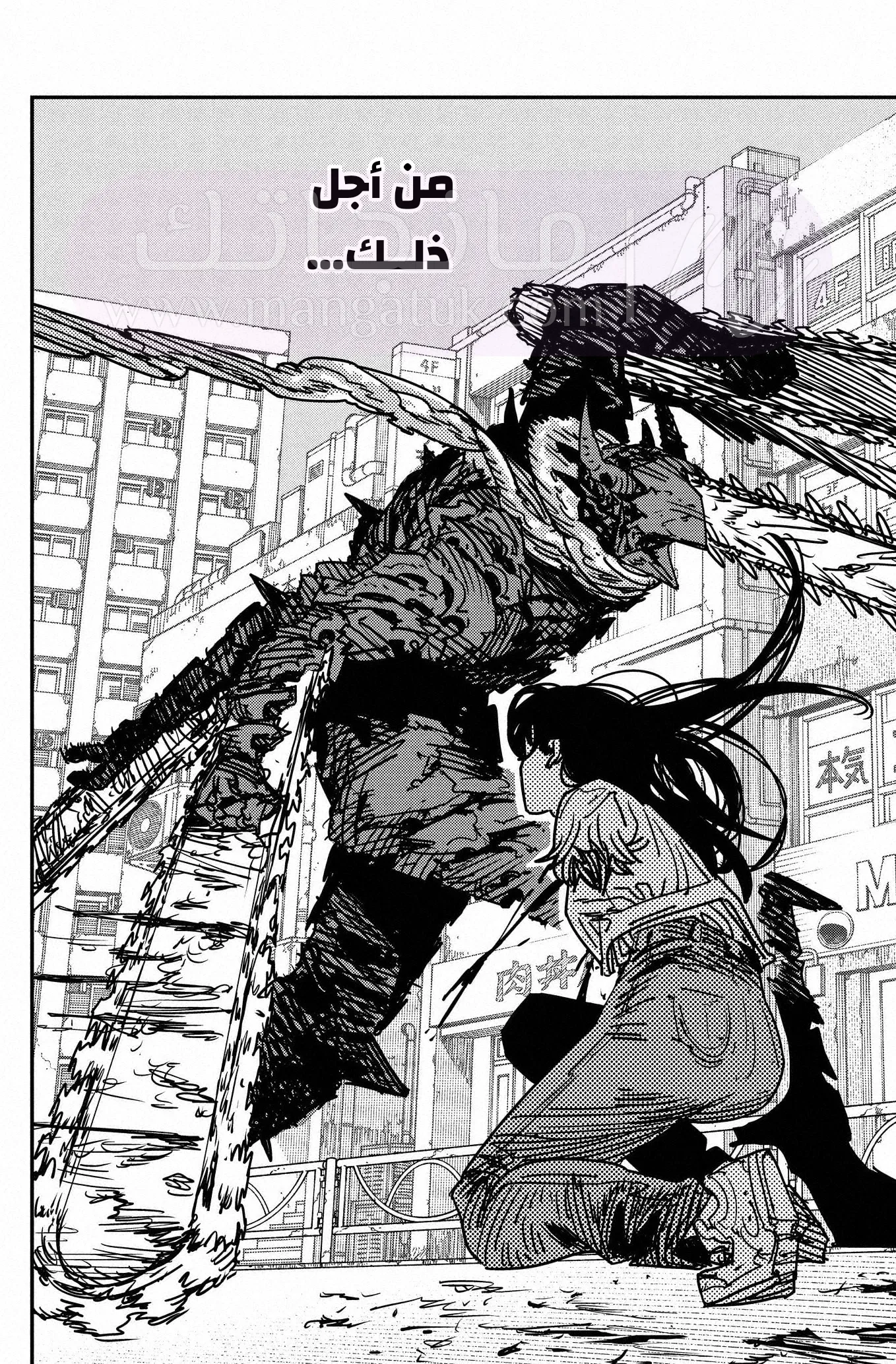 الصفحة 11
