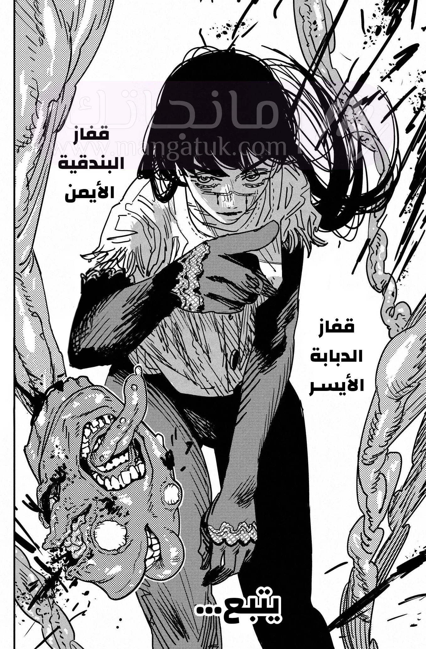 الصفحة 17