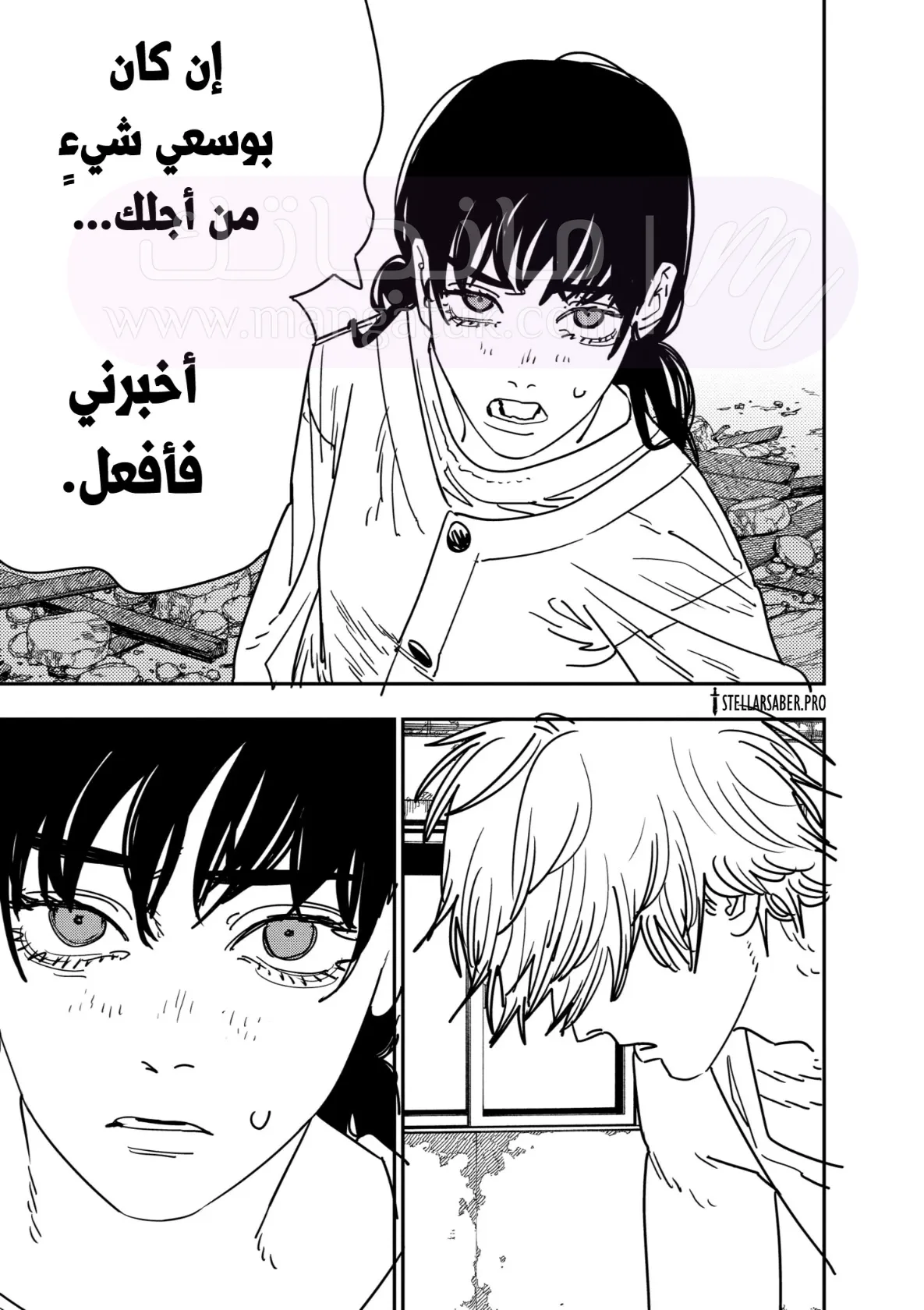 الصفحة 12