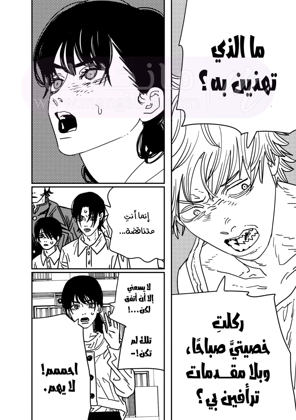 الصفحة 13