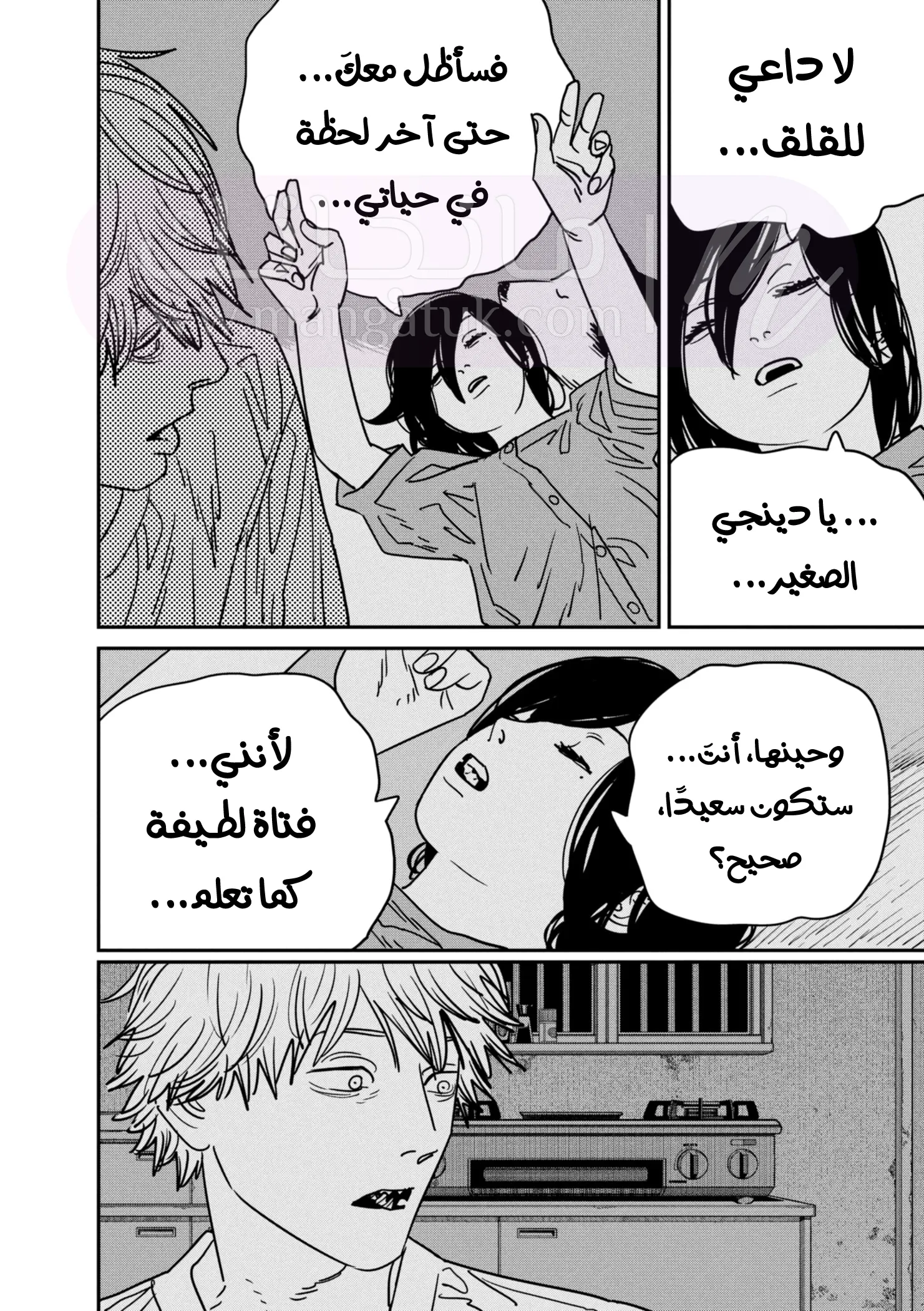 الصفحة 13