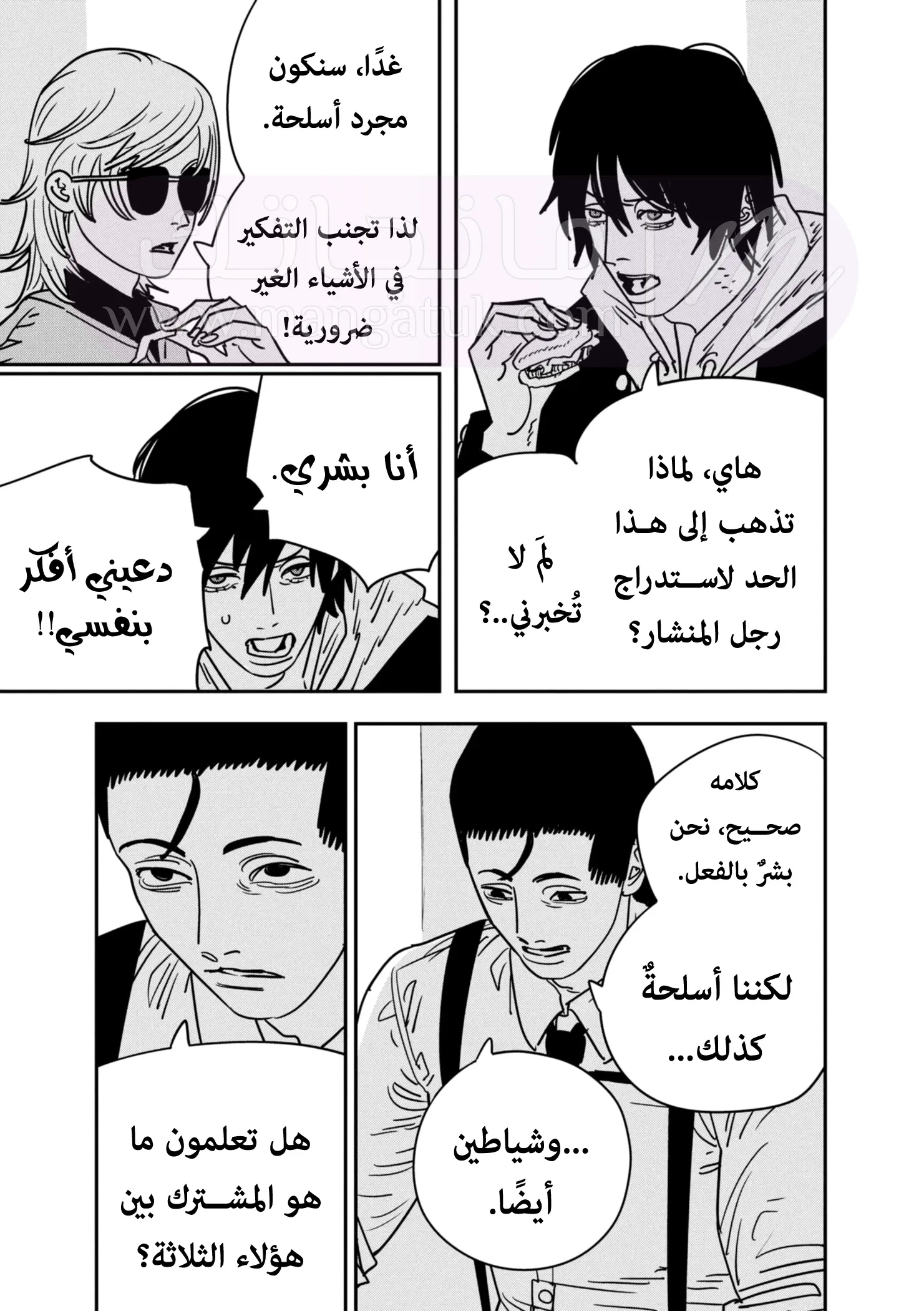 الصفحة 16