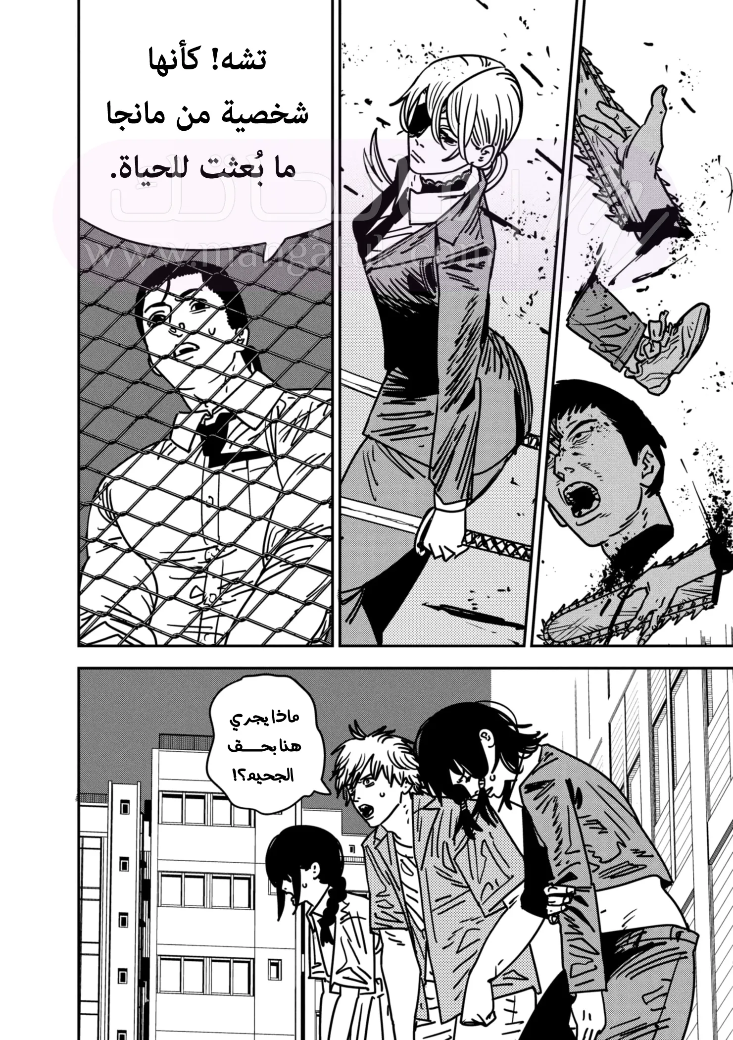 الصفحة 13