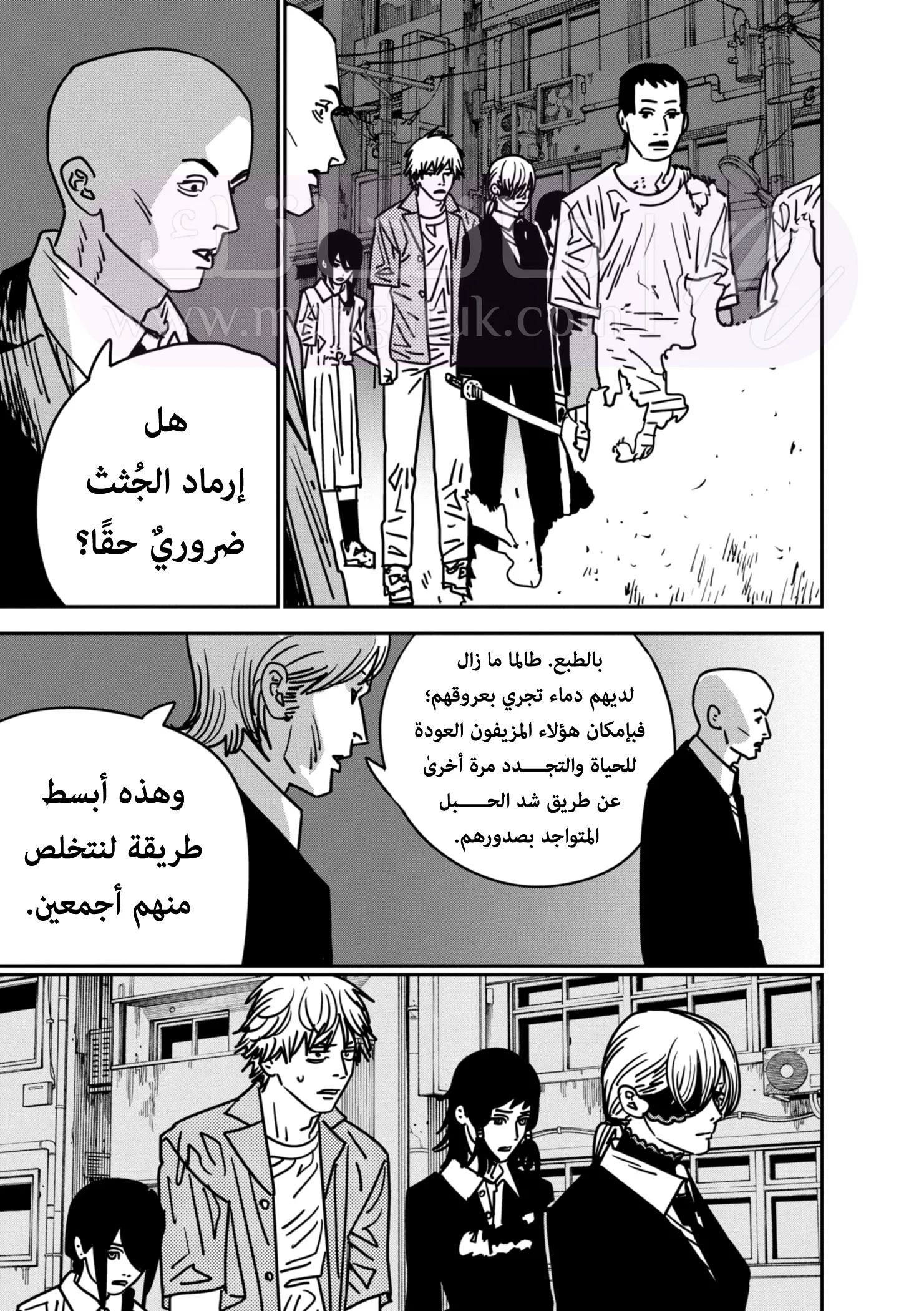 الصفحة 16