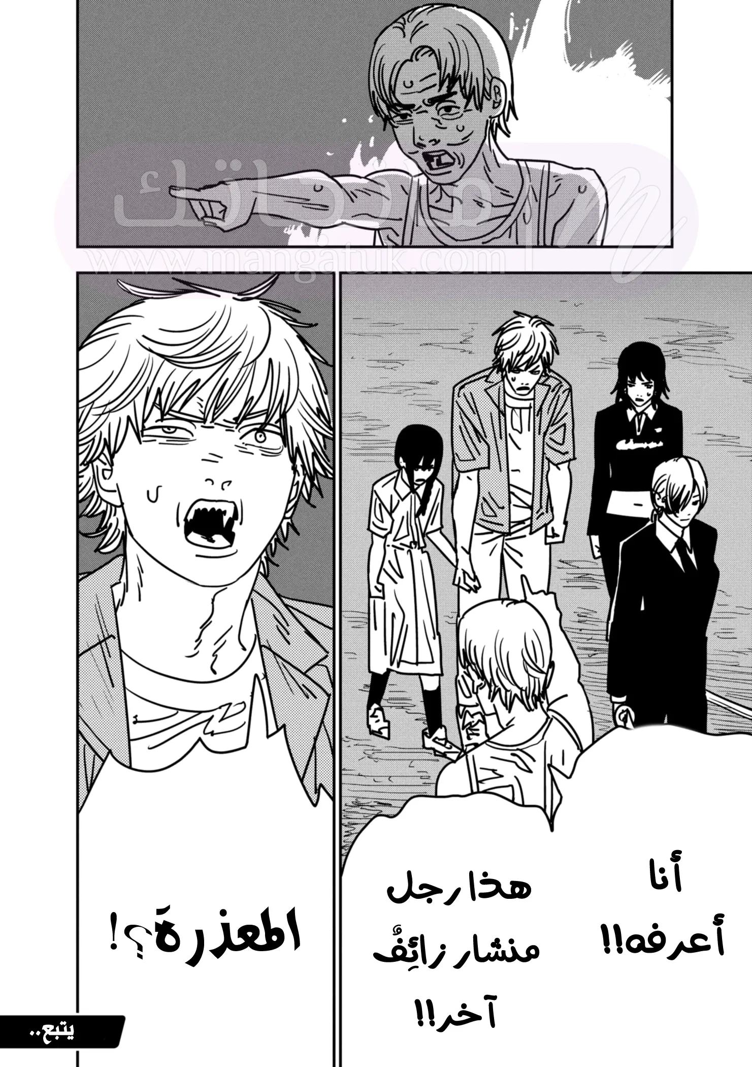 الصفحة 17