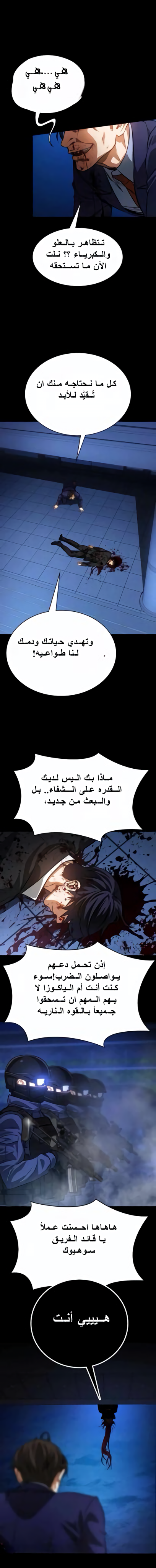 الصفحة 17