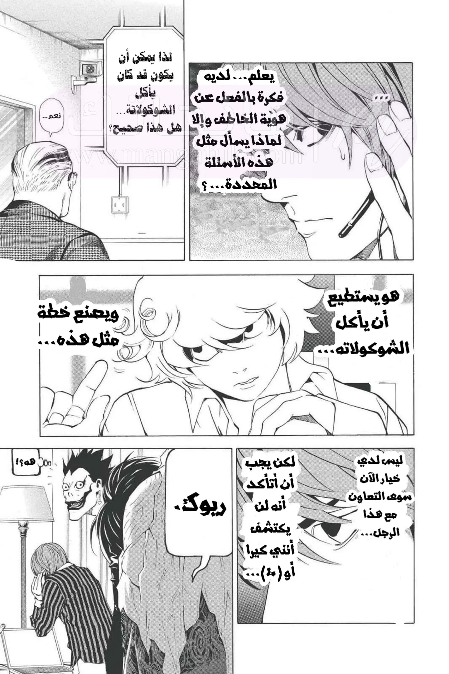 الصفحة 17