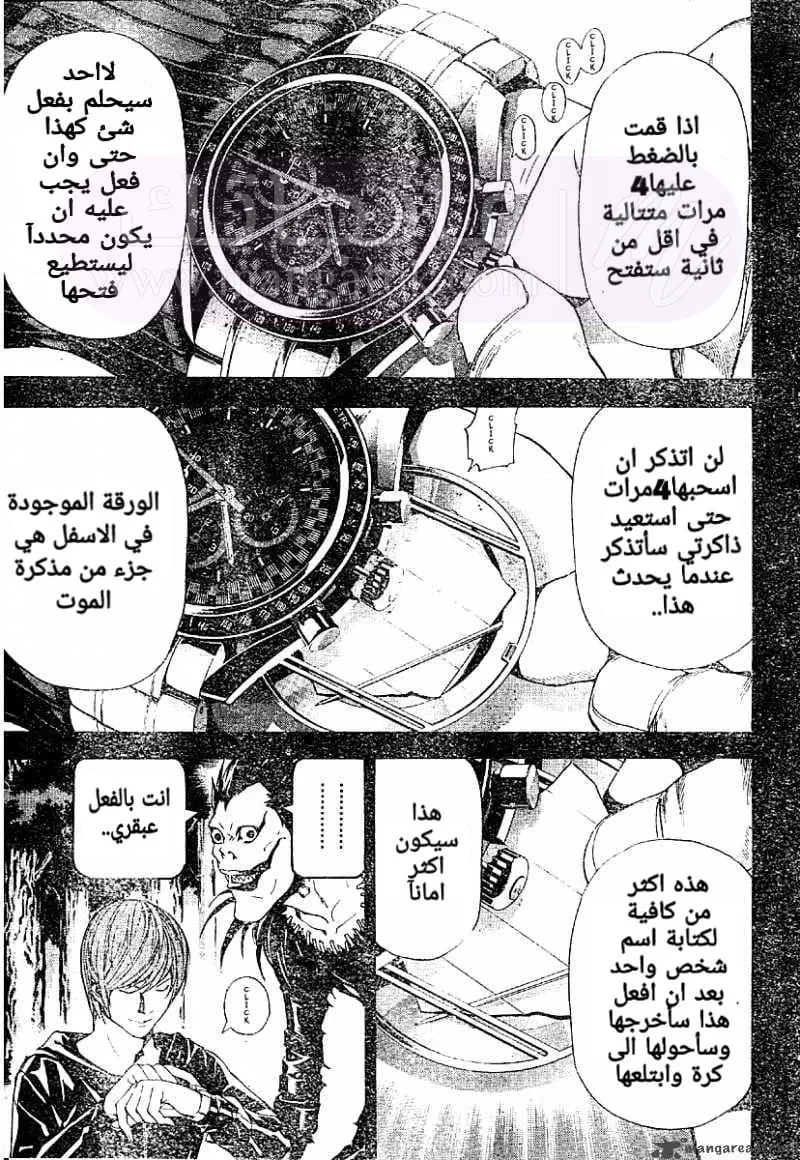 الصفحة 13