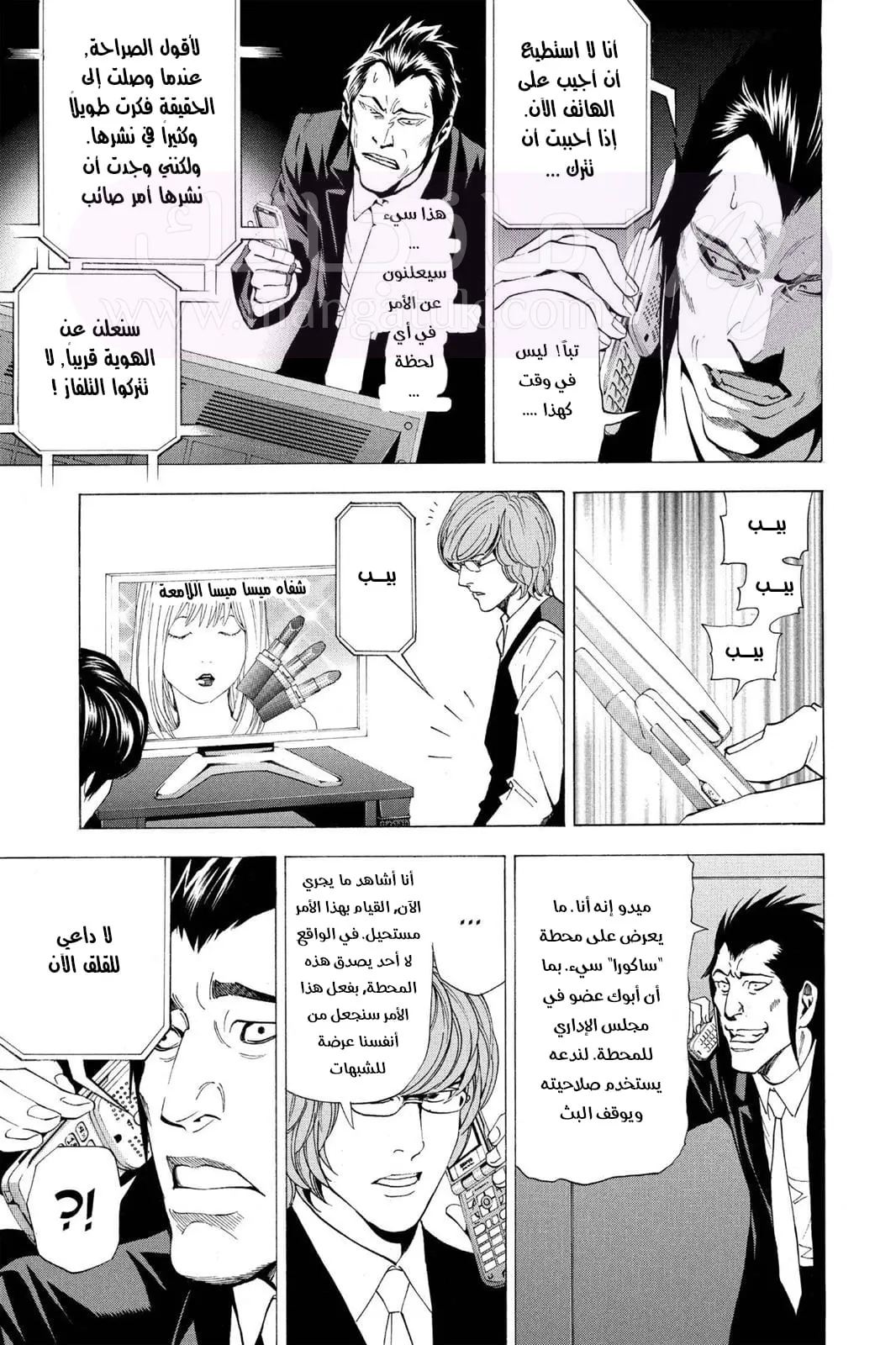 الصفحة 17