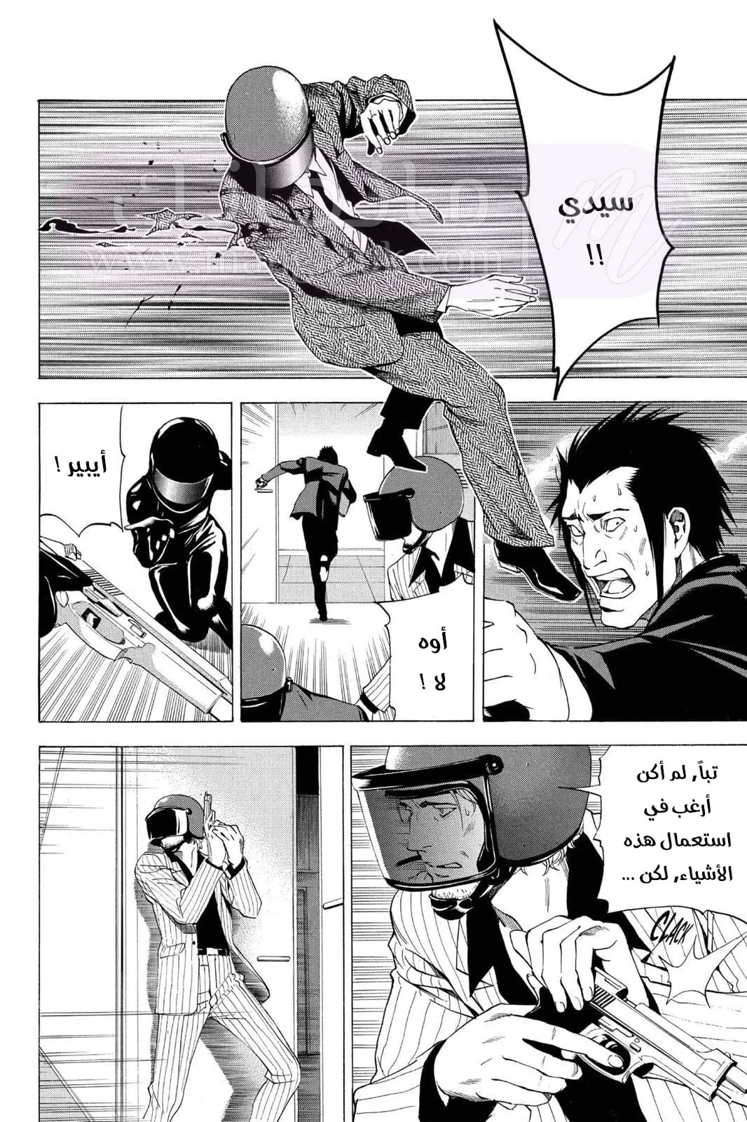 الصفحة 17