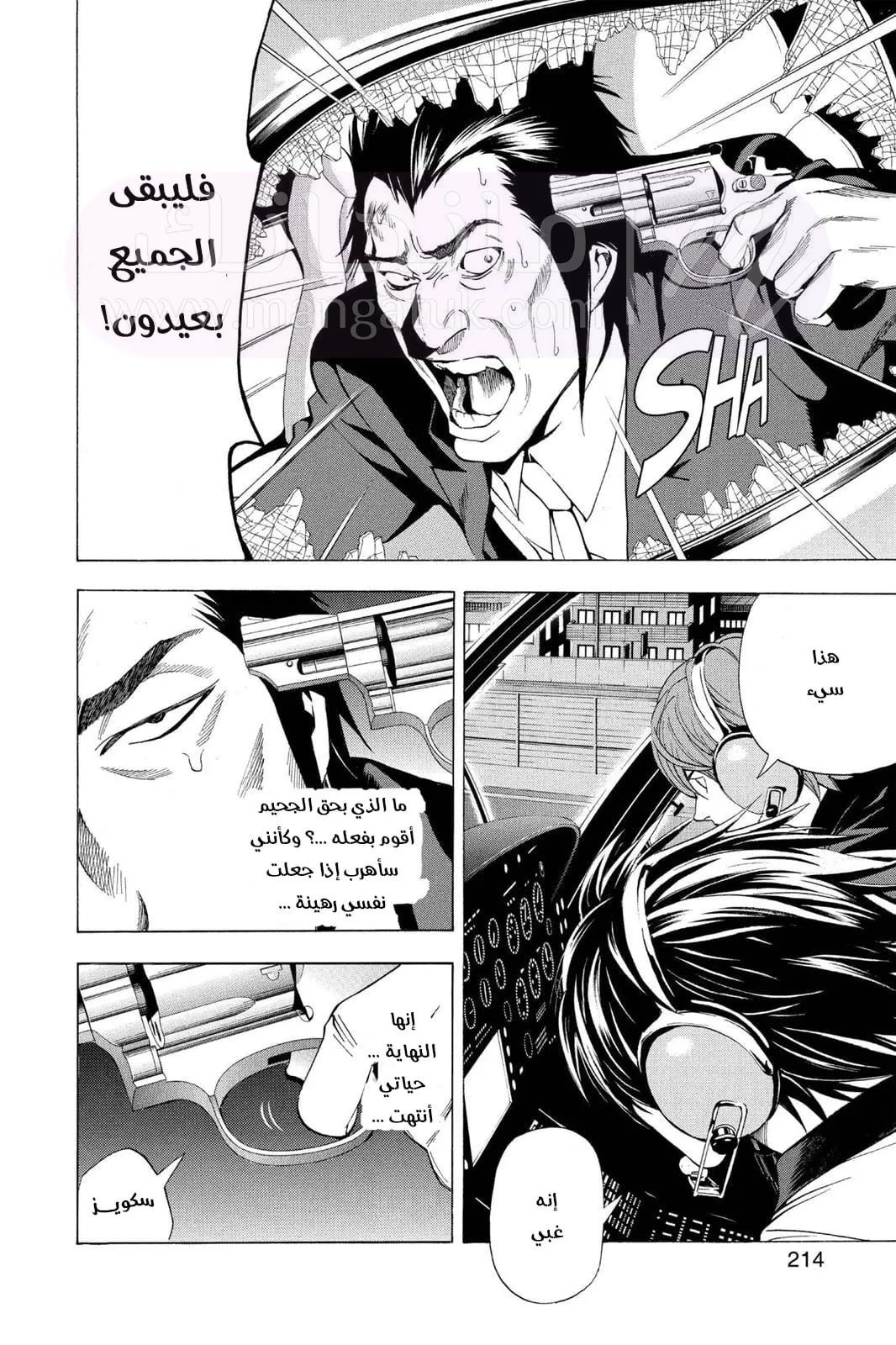 الصفحة 29