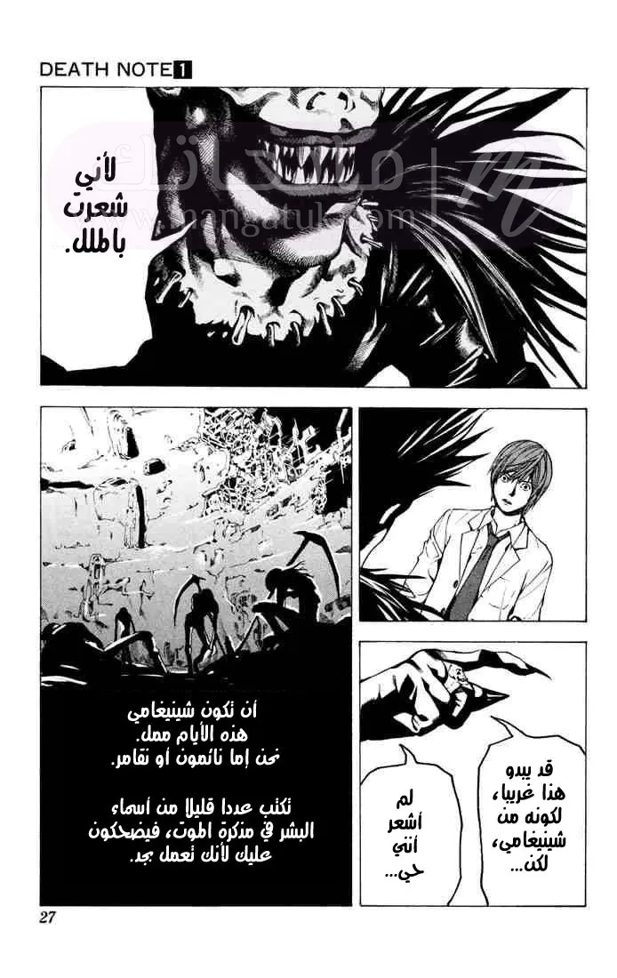 الصفحة 27