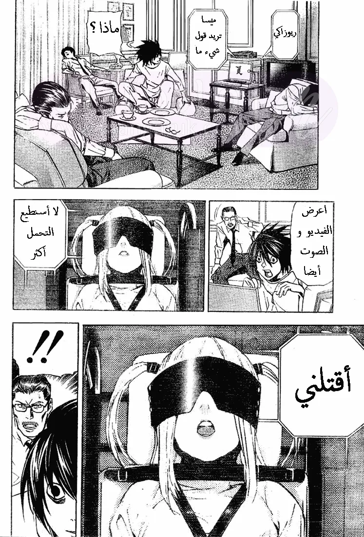 الصفحة 13