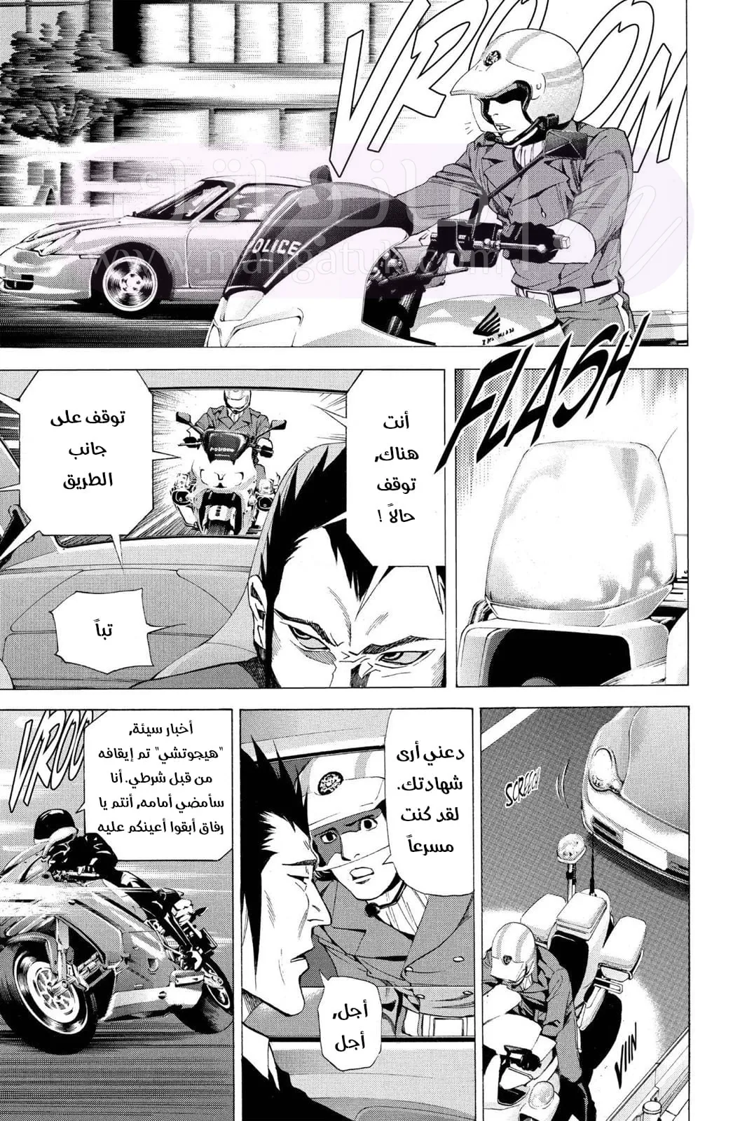 الصفحة 17