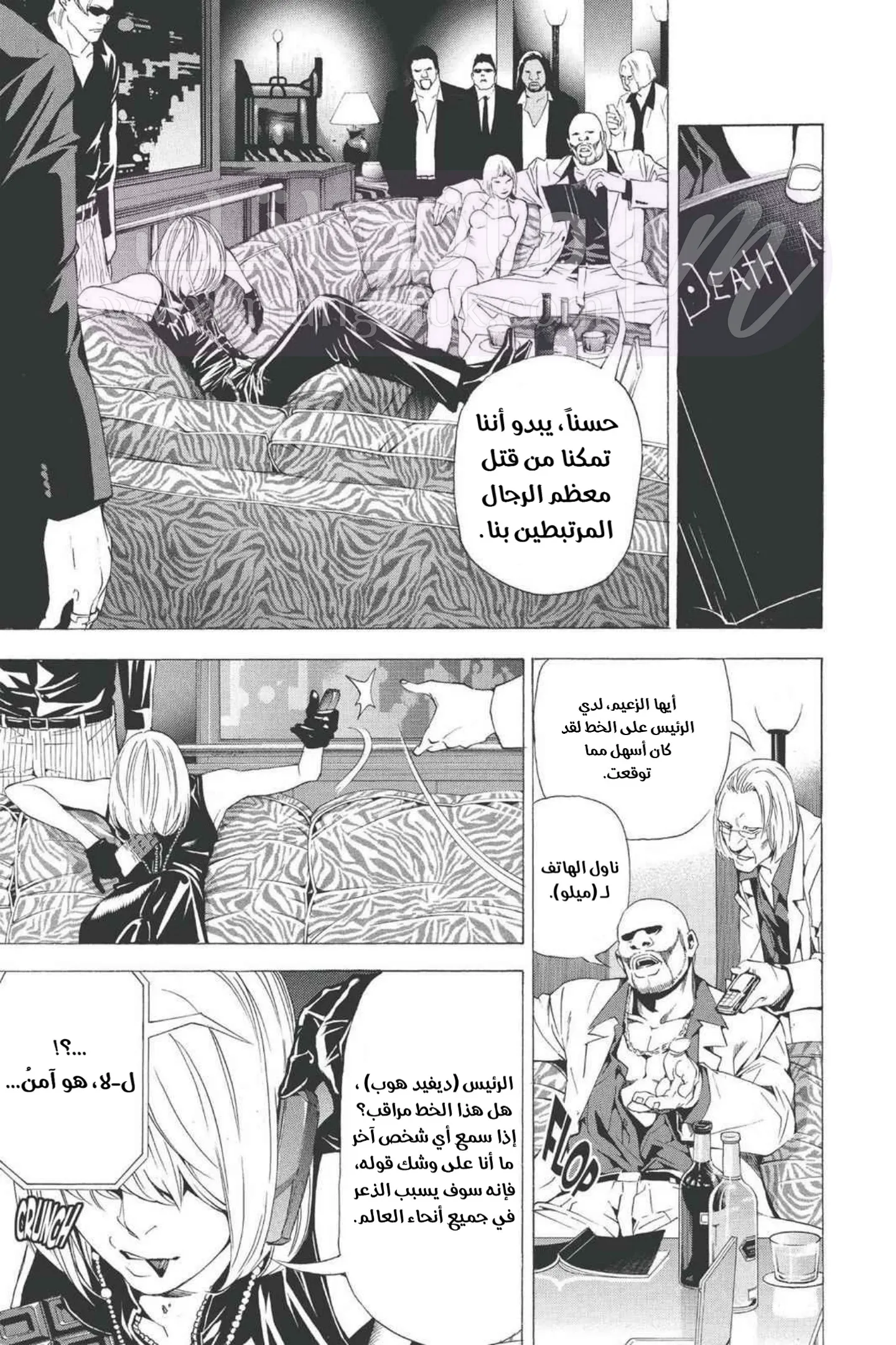 الصفحة 17
