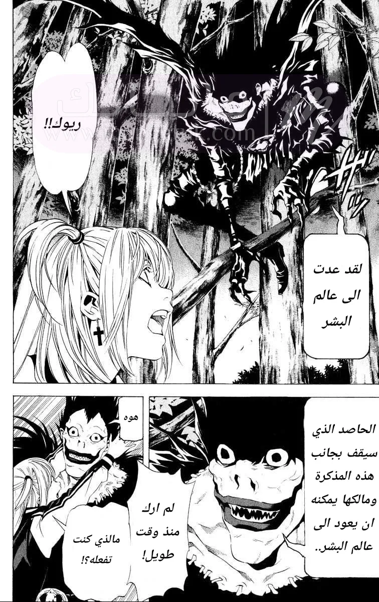 الصفحة 8