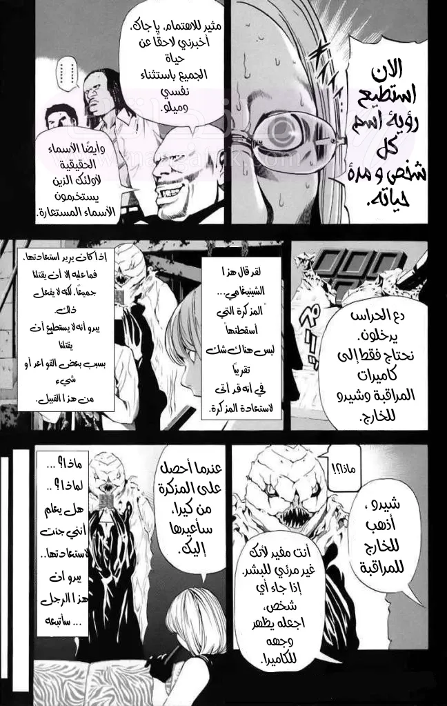 الصفحة 13