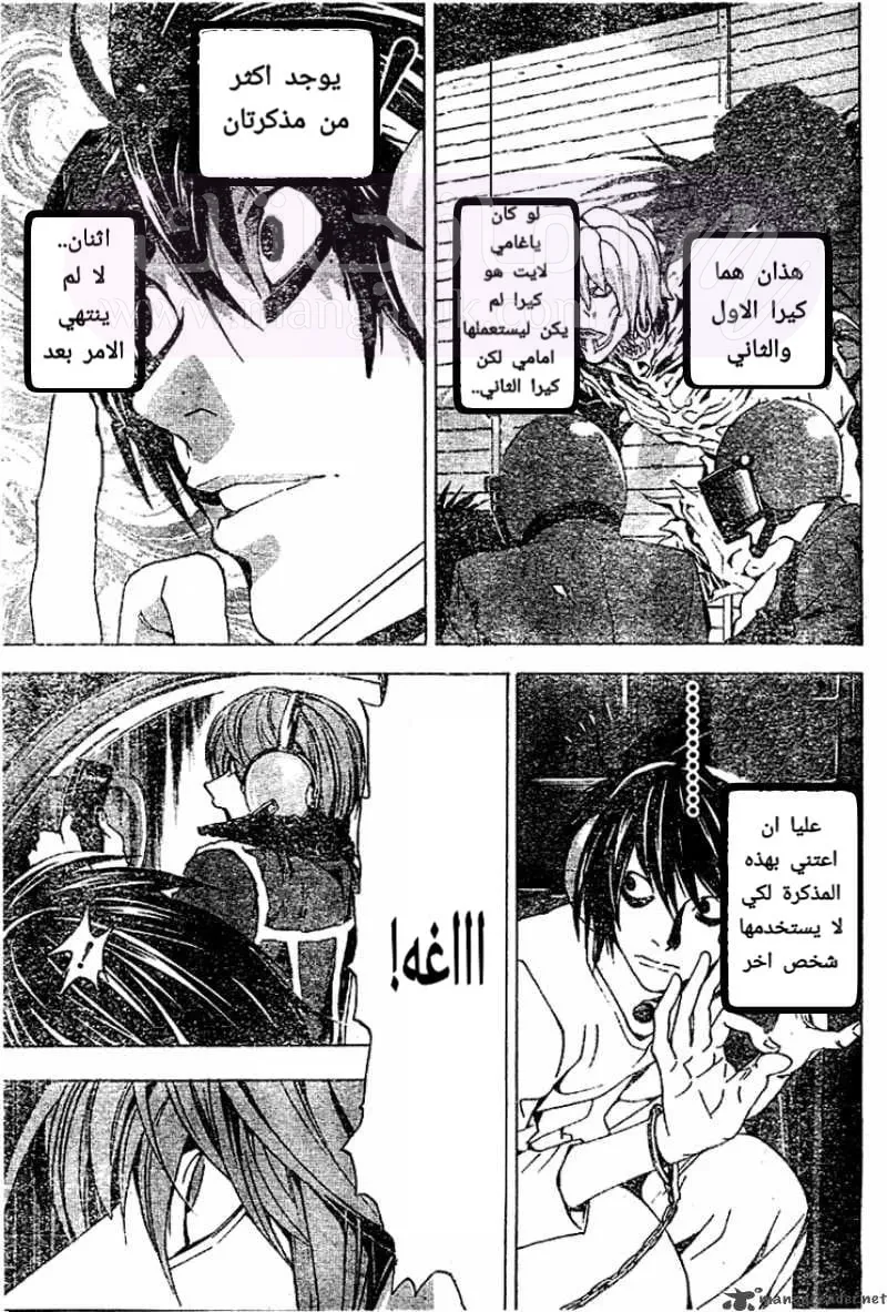 الصفحة 13