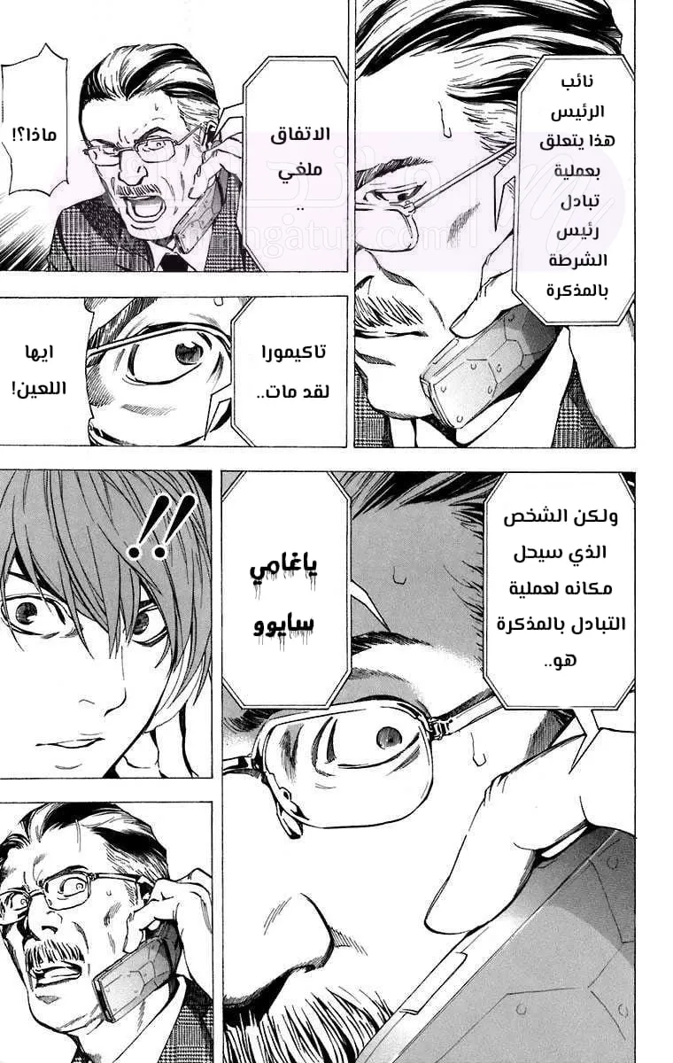 الصفحة 17
