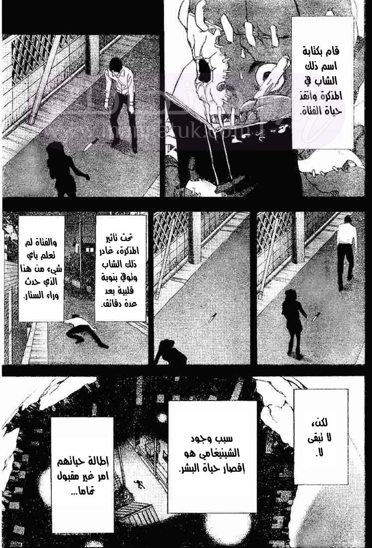 الصفحة 13