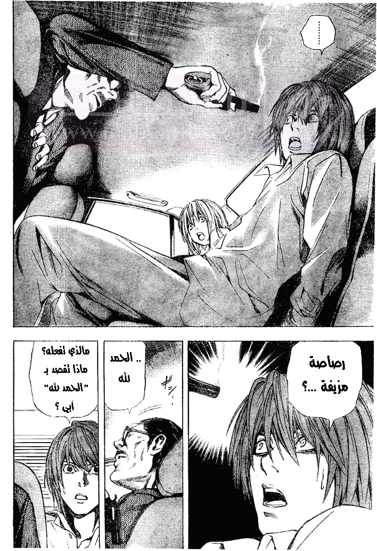الصفحة 17