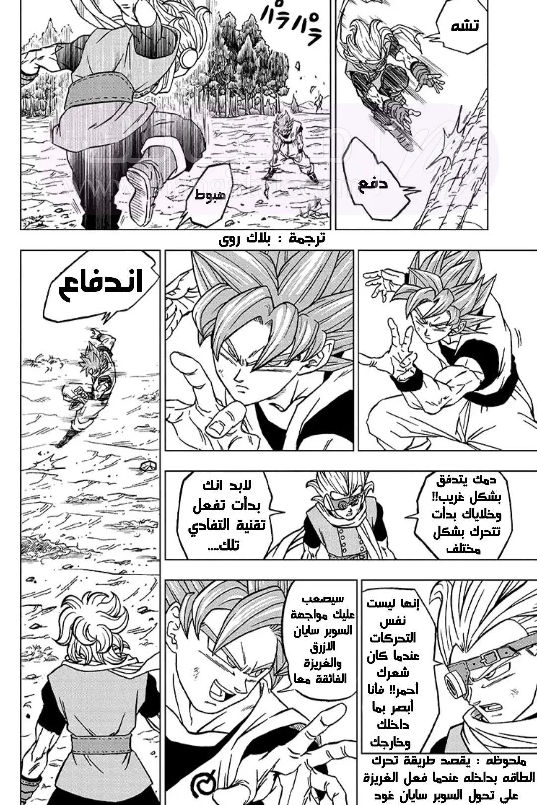 الصفحة 12