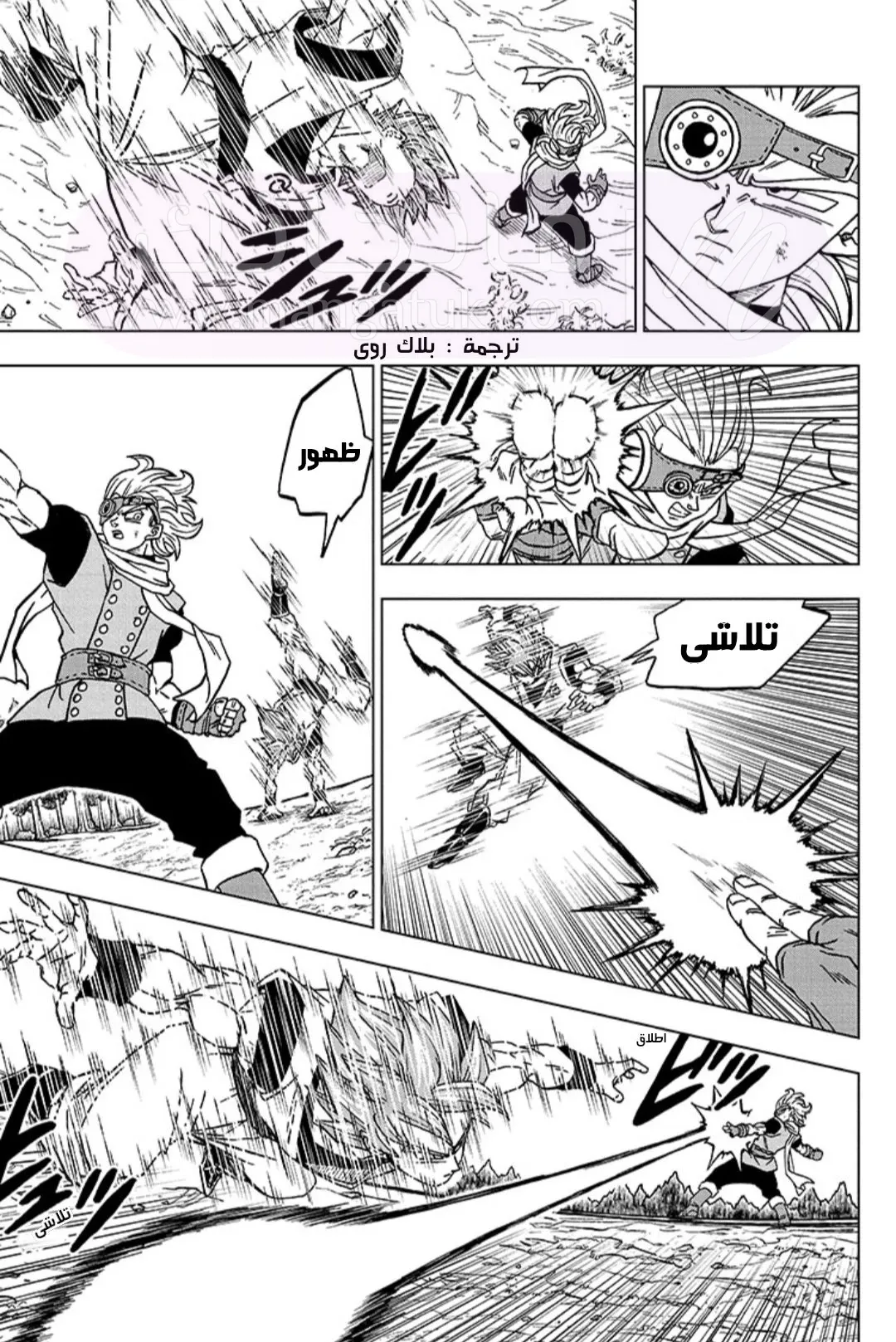 الصفحة 13