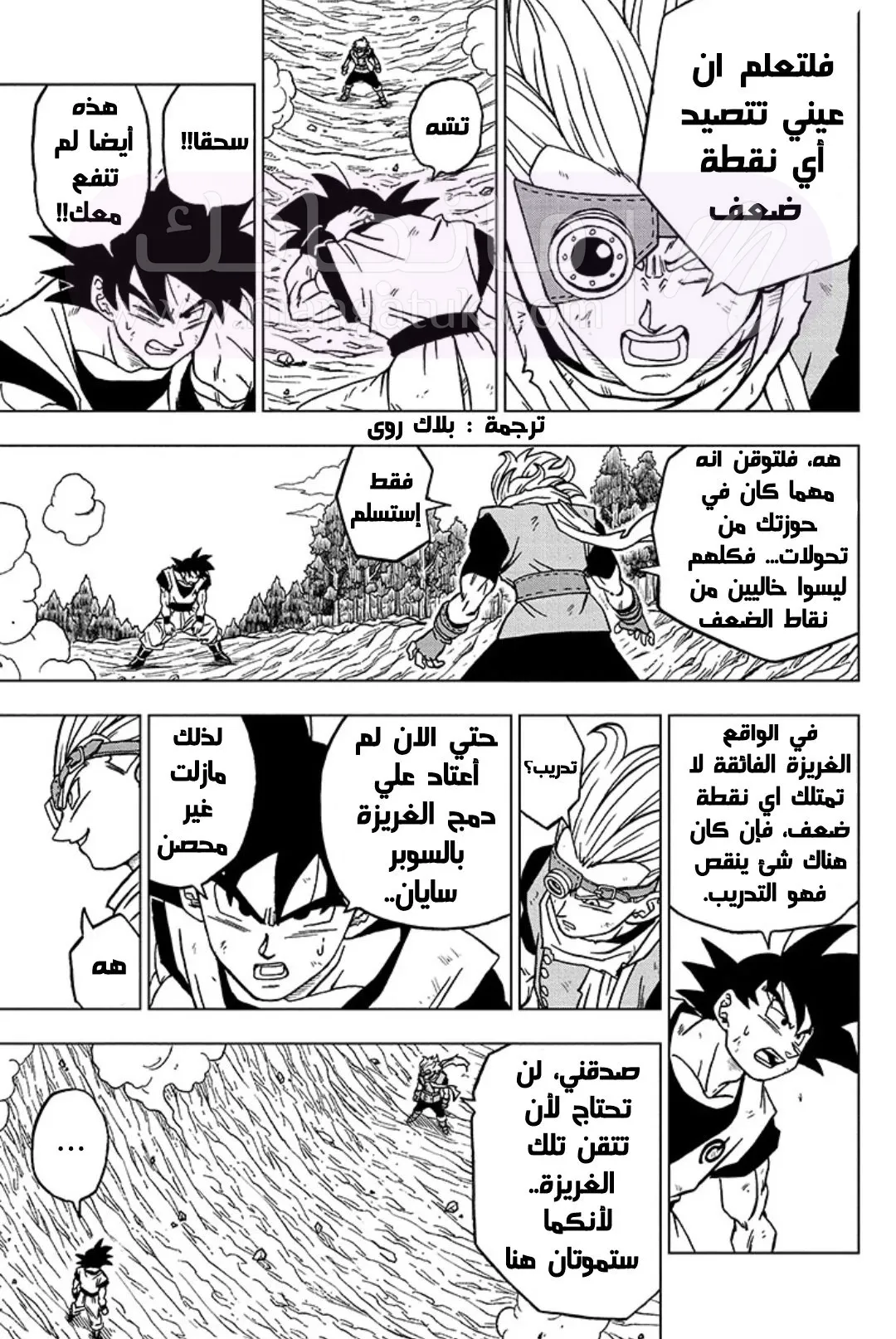 الصفحة 19