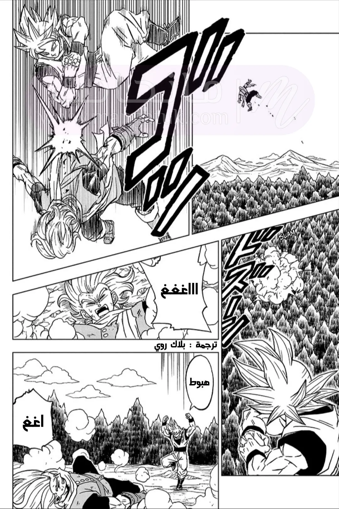 الصفحة 28