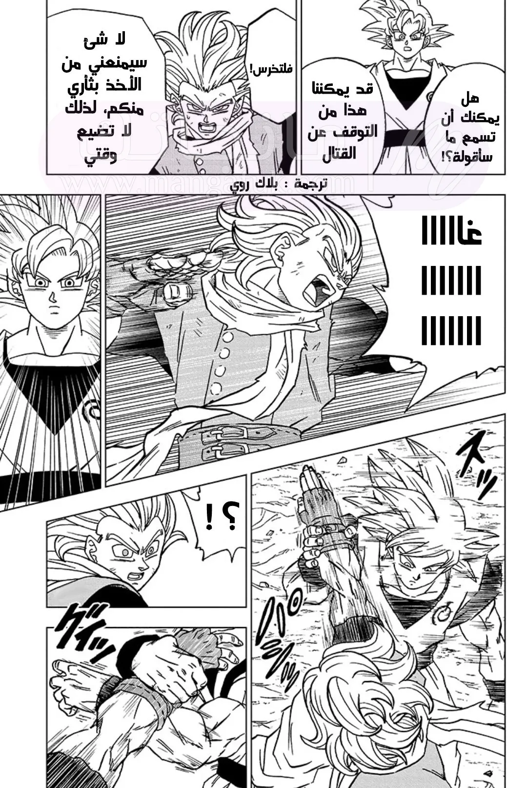 الصفحة 29