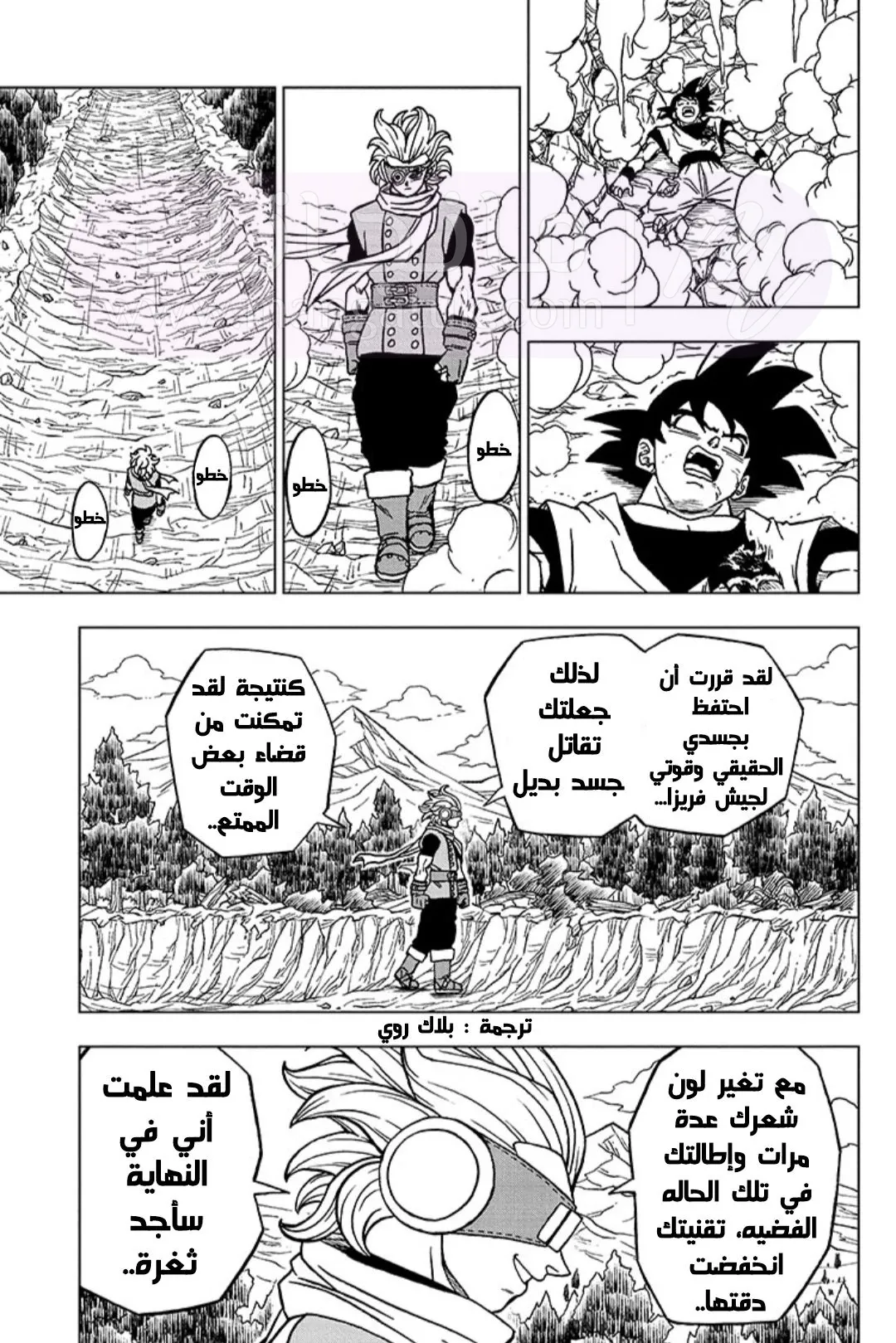 الصفحة 43