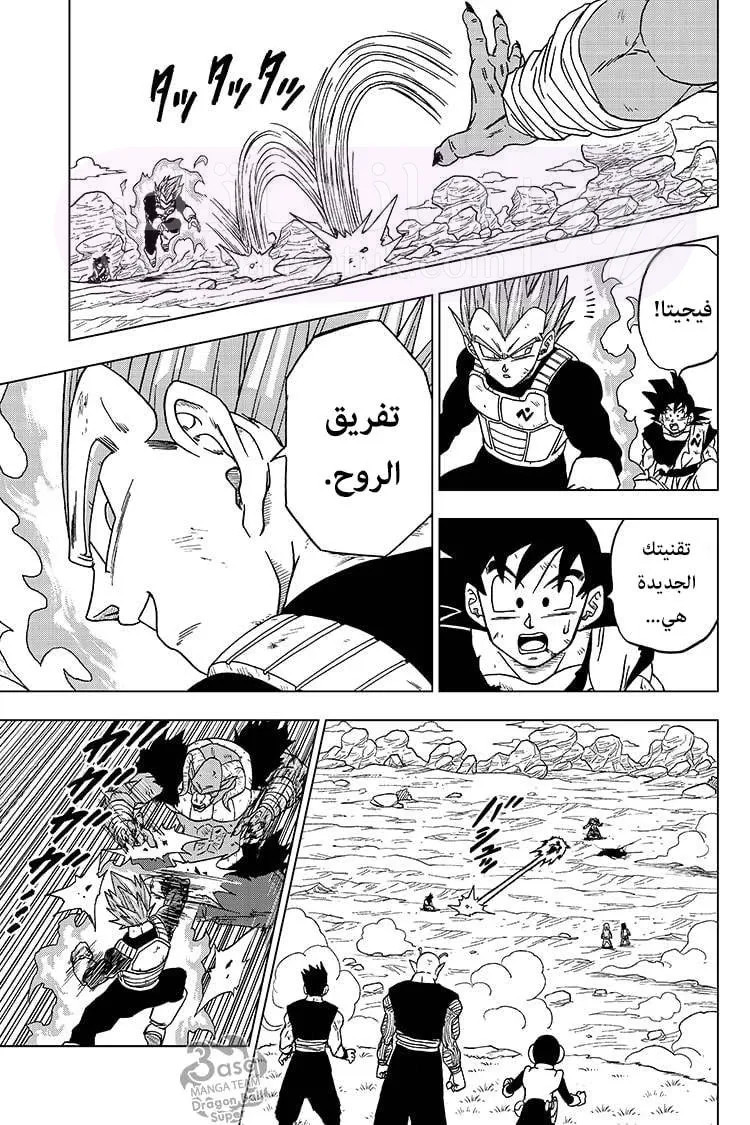 الصفحة 14
