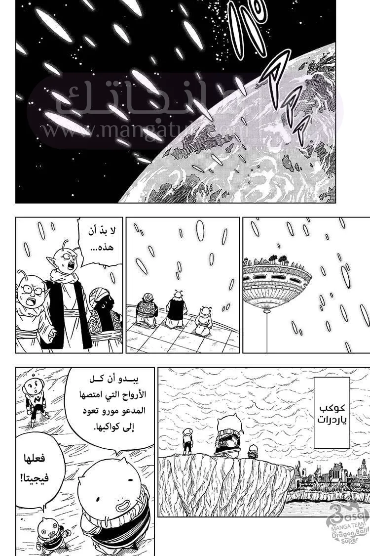 الصفحة 19
