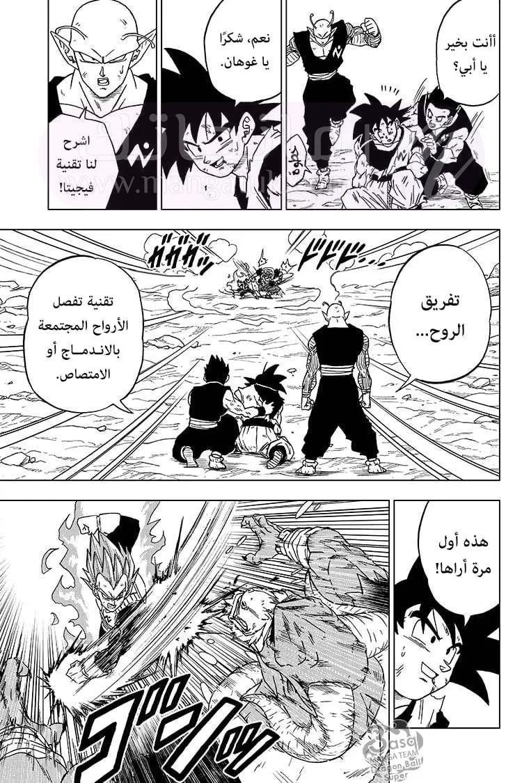 الصفحة 20
