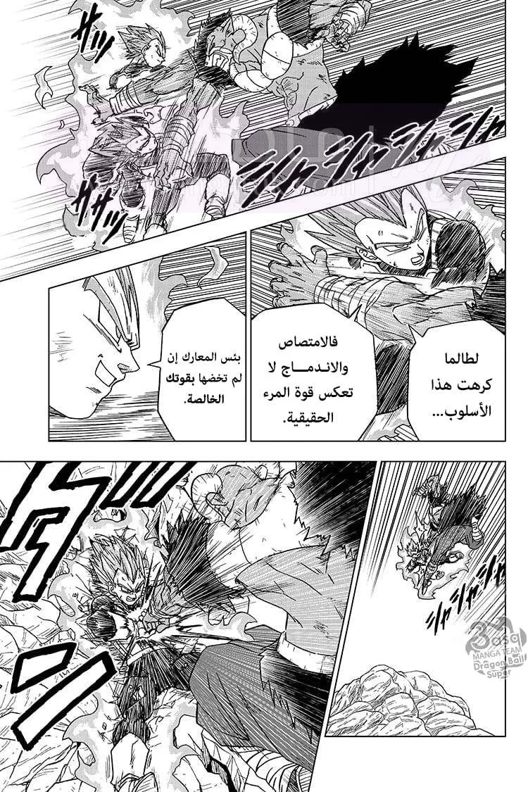 الصفحة 24